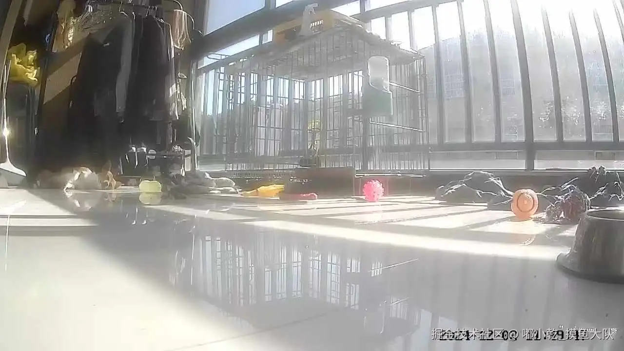 嘟小乾_摸鱼大队于2024-12-02 13:18发布的图片