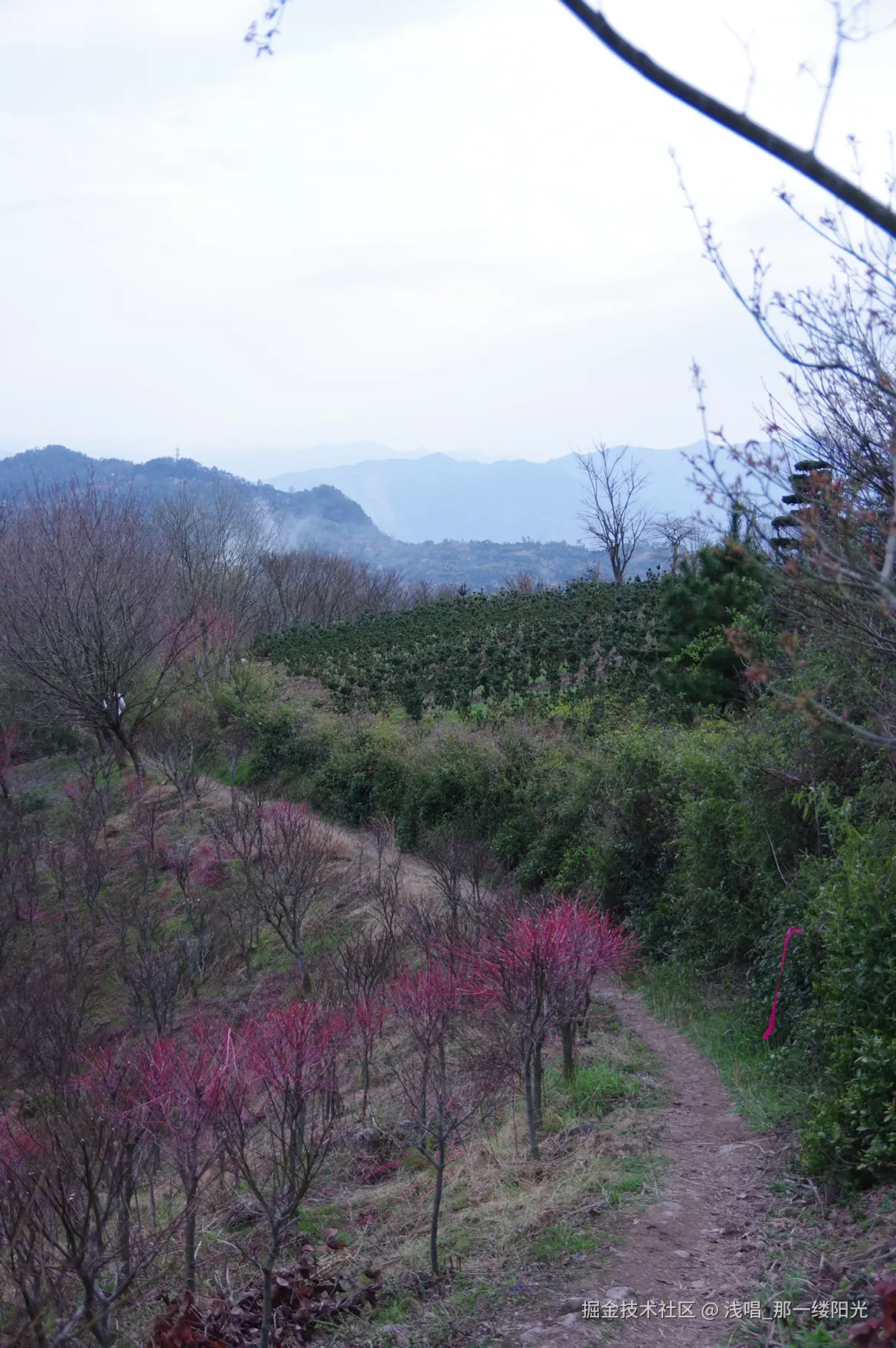 浅唱_那一缕阳光于2026-04-07 10:47发布的图片