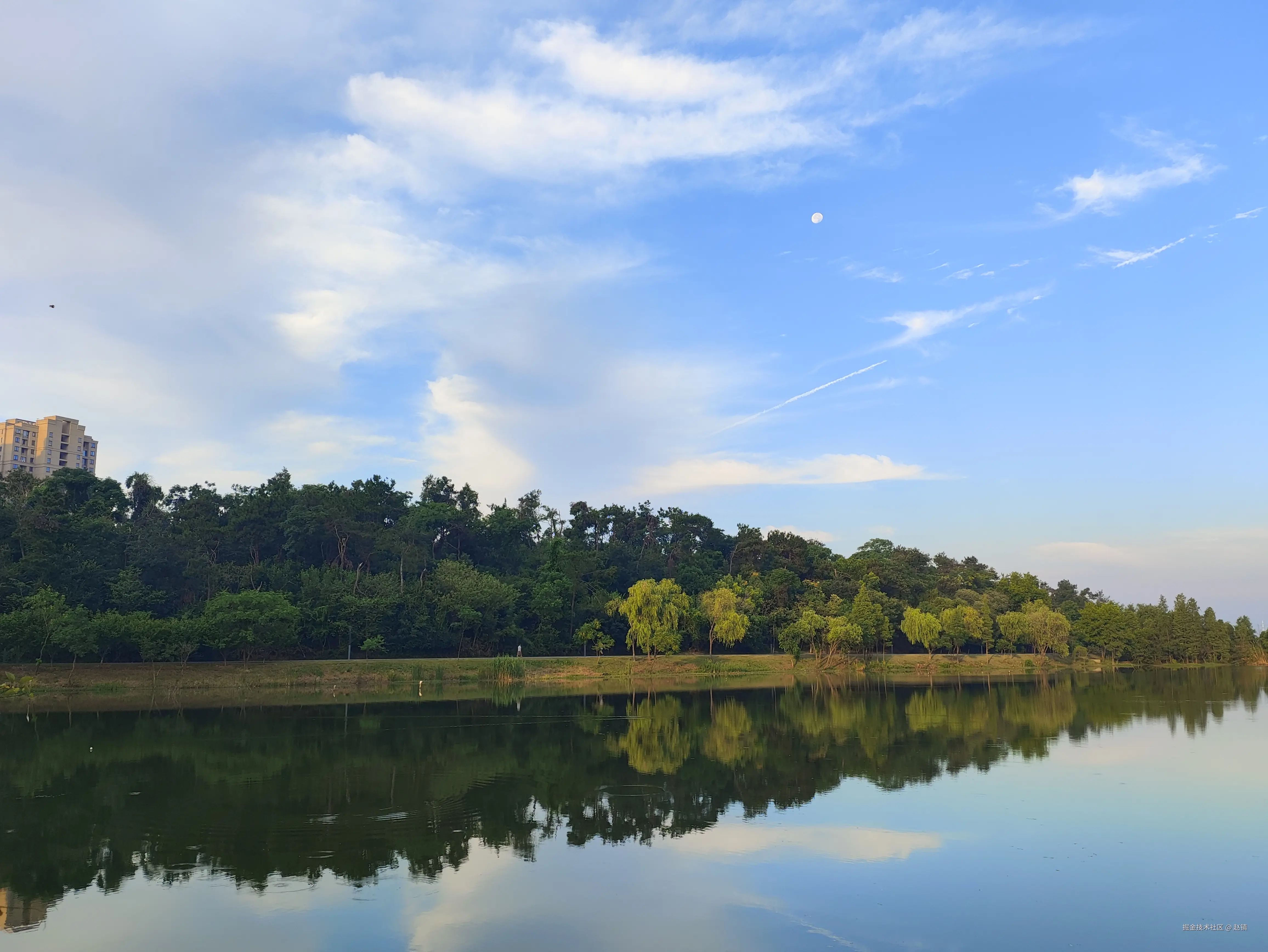 赵镇于2024-07-24 07:04发布的图片