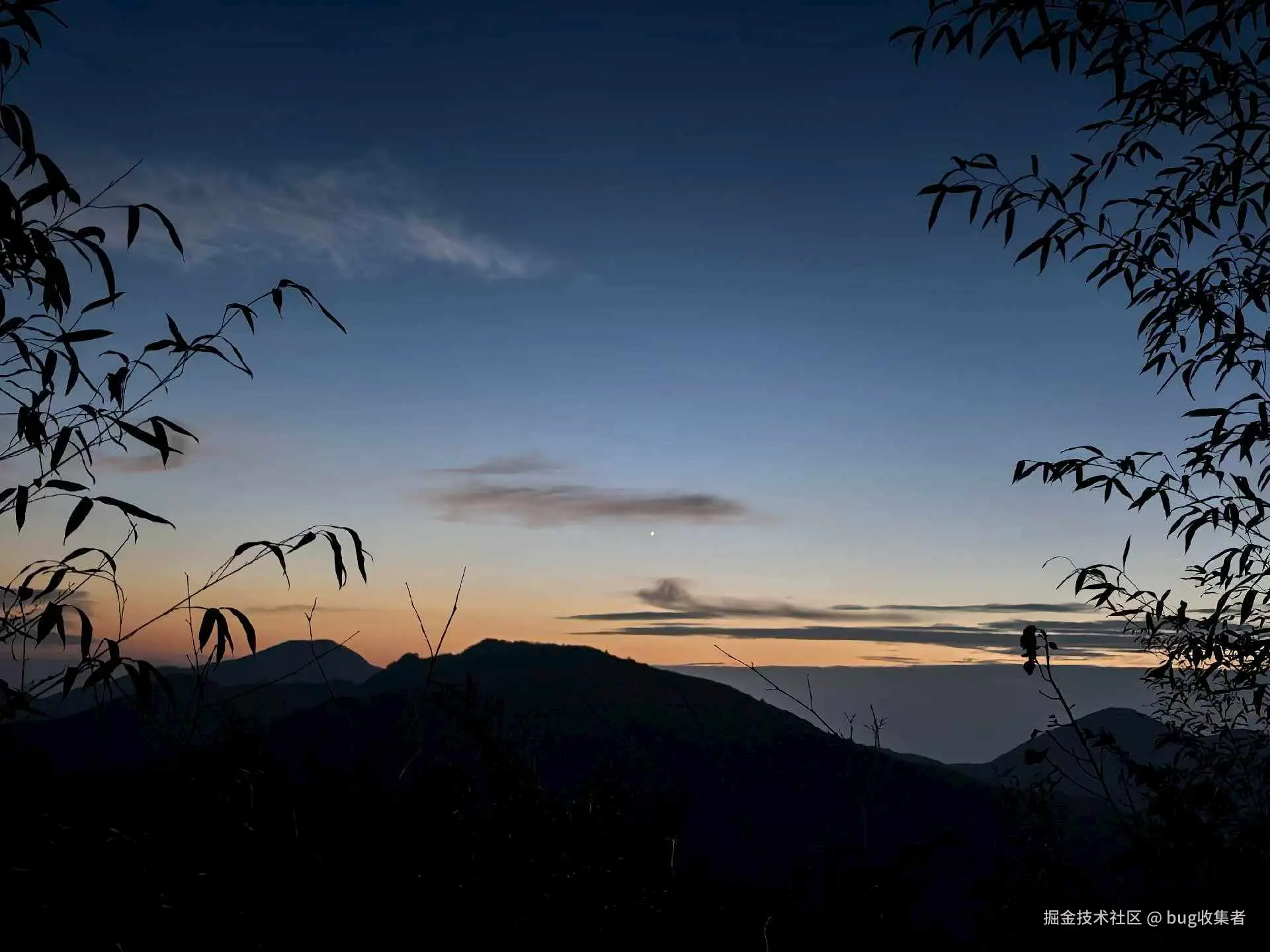 bug收集者于2025-11-03 11:16发布的图片