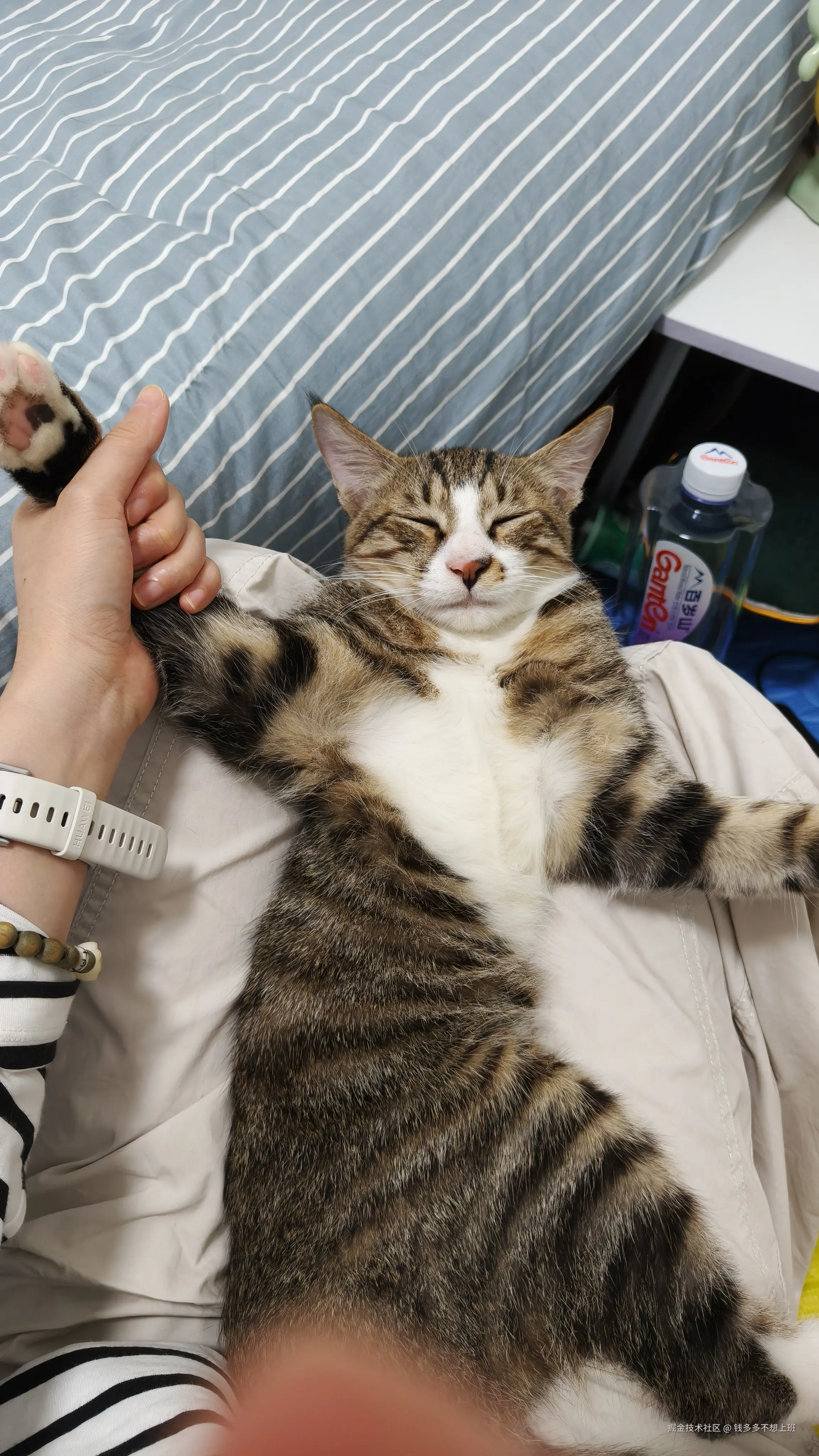 钱多多不想上班于2025-10-17 13:58发布的图片