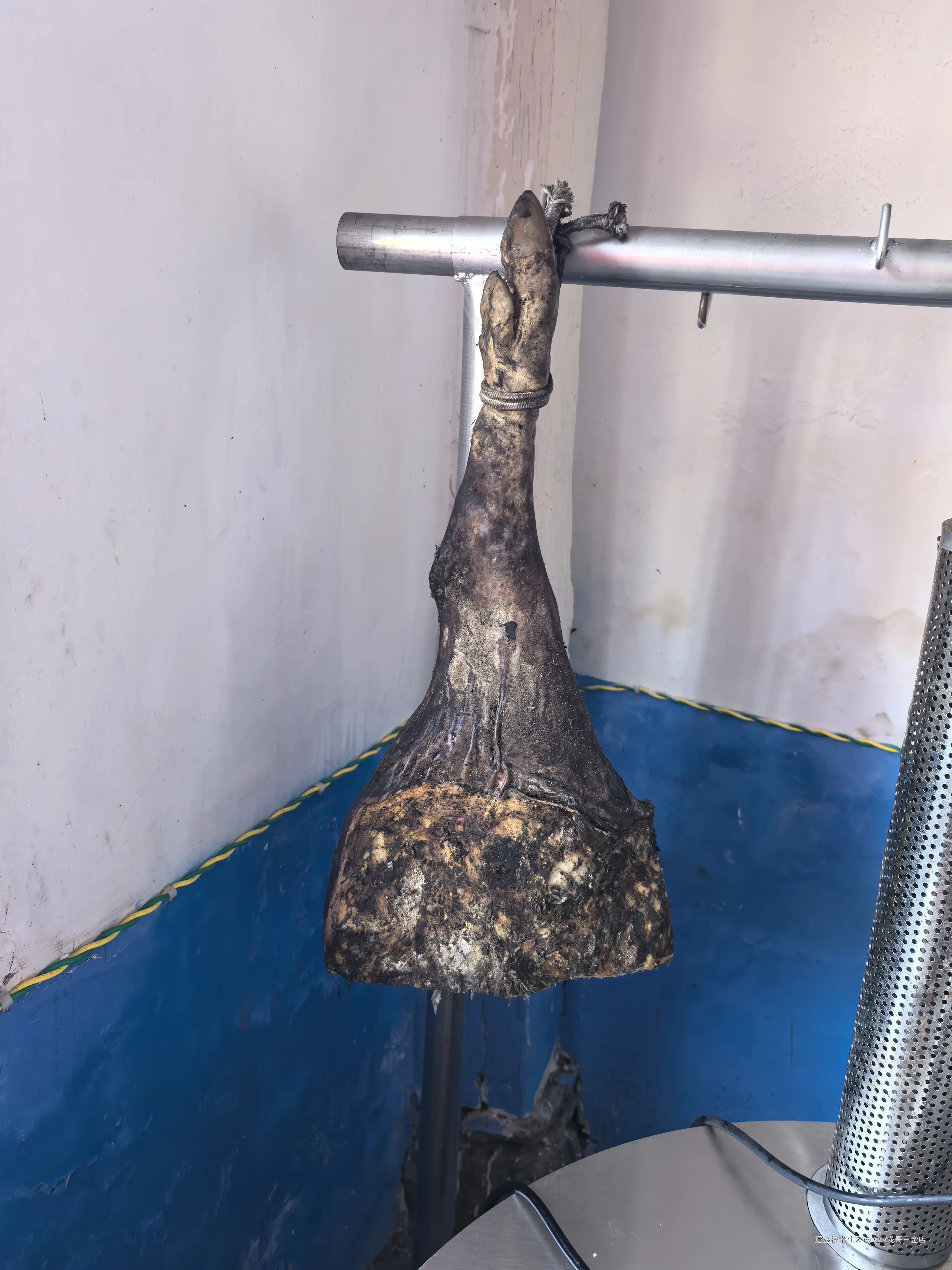 AAA龙哥三金店于2026-02-24 11:34发布的图片