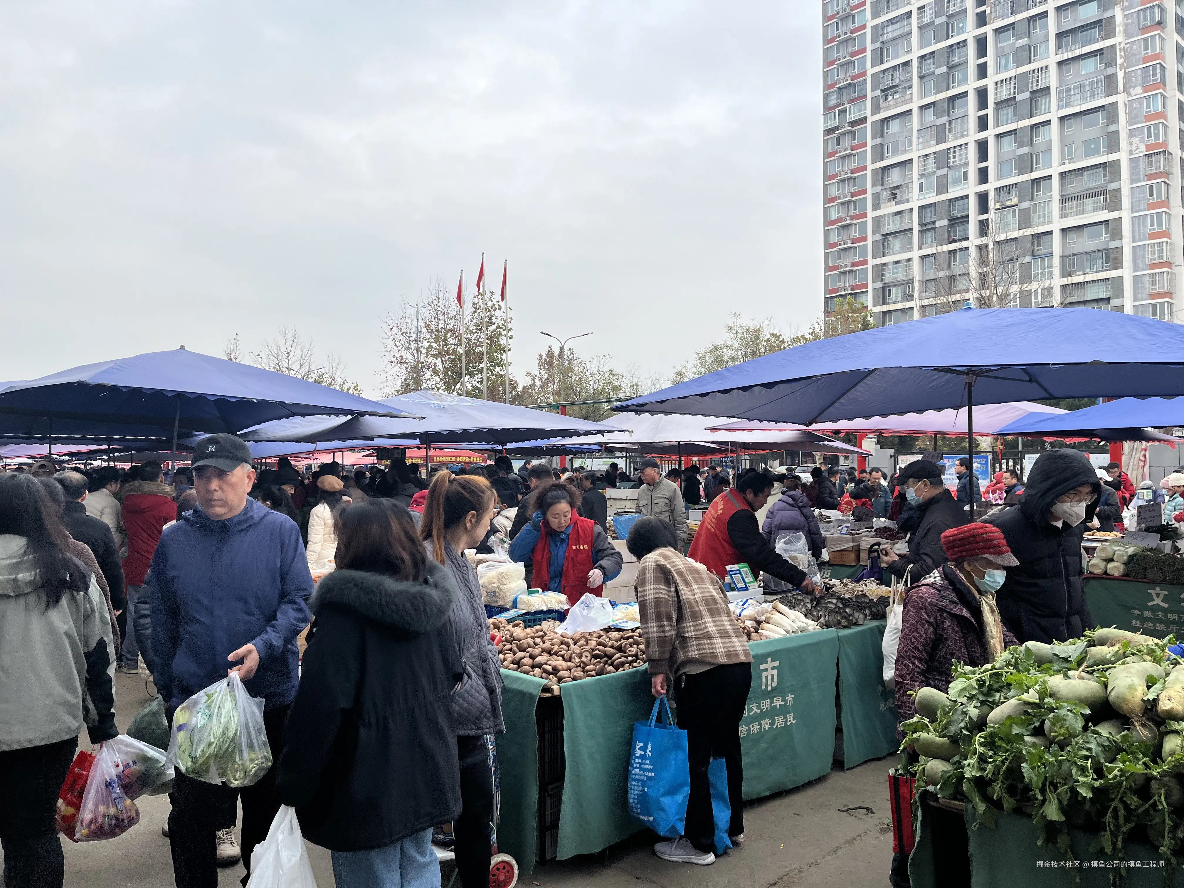 摸鱼公司的摸鱼工程师于2024-11-23 10:15发布的图片