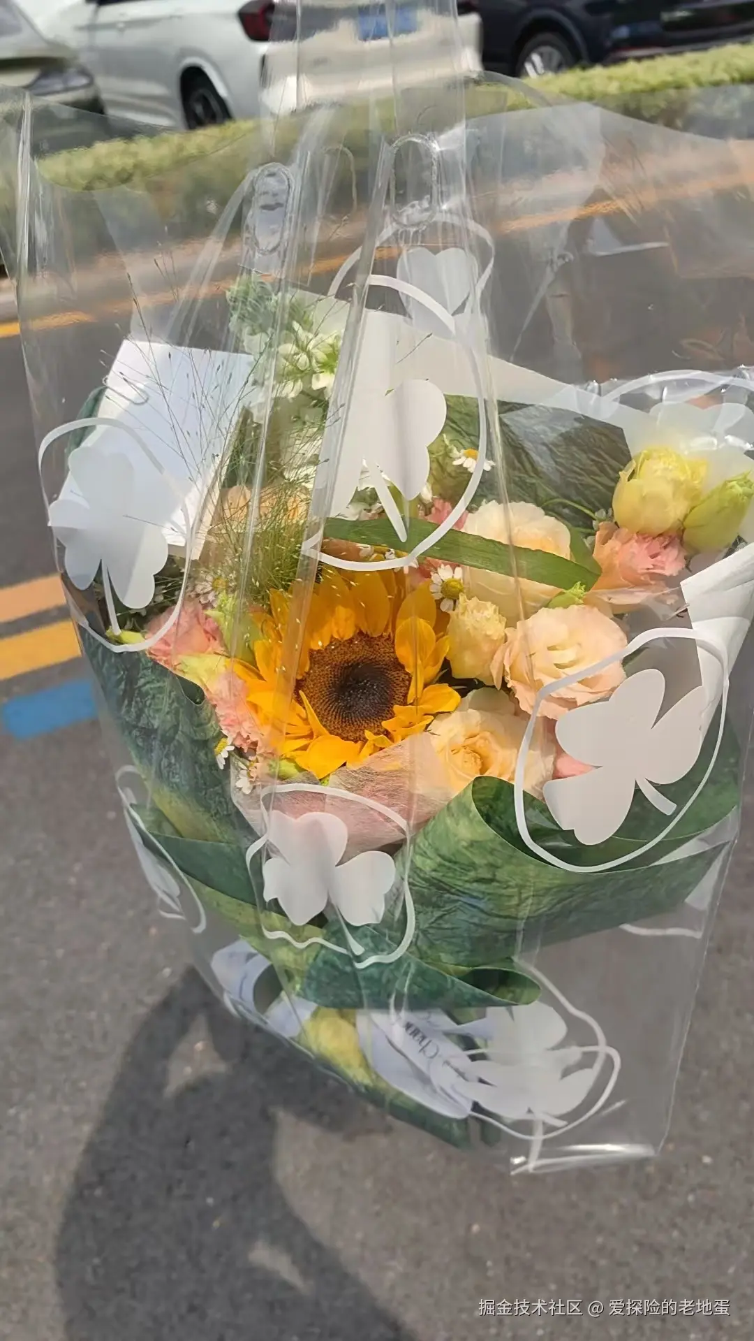 爱探险的老地蛋于2025-05-20 15:18发布的图片