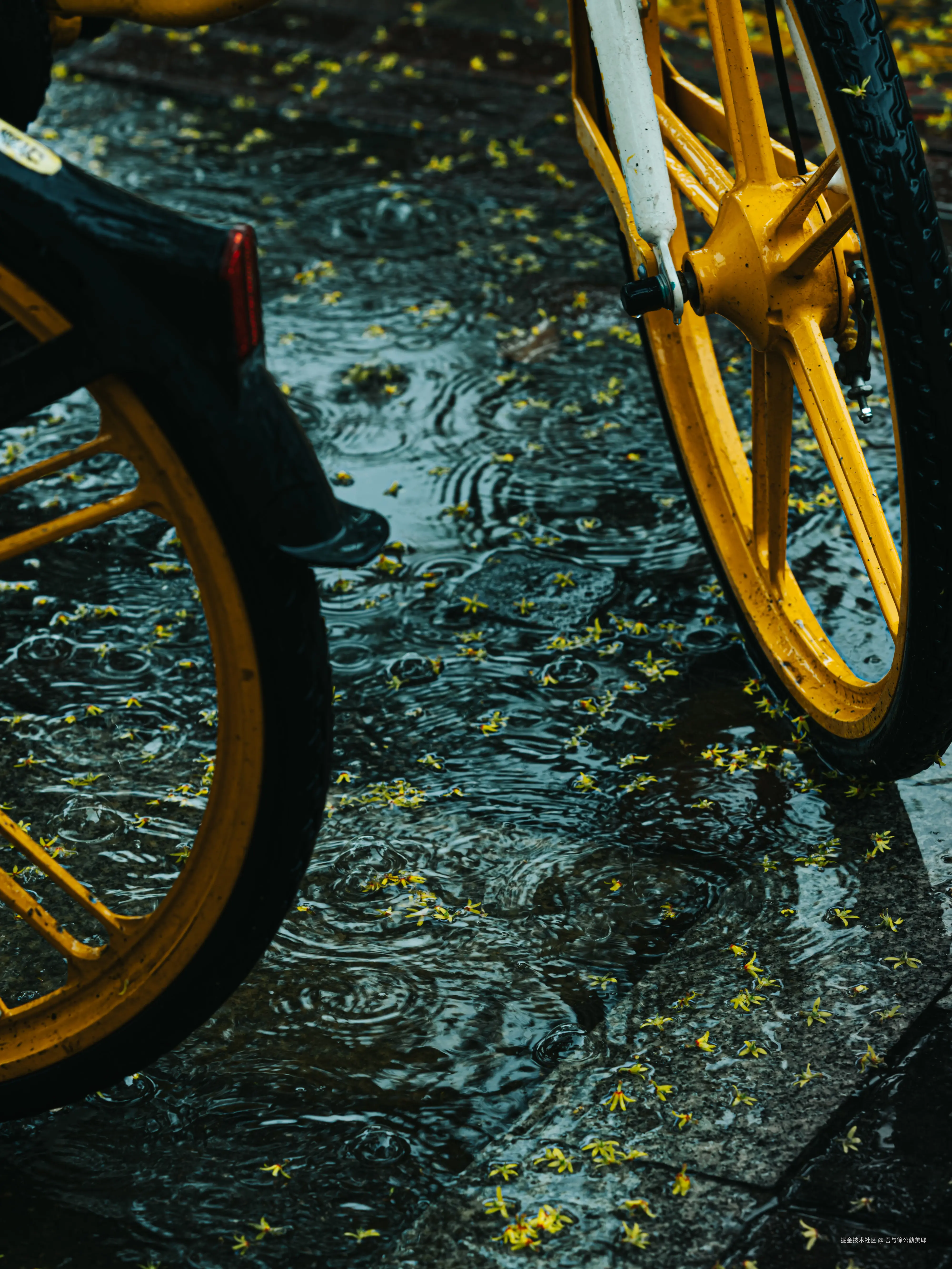 吾与徐公孰美耶于2024-09-20 02:12发布的图片