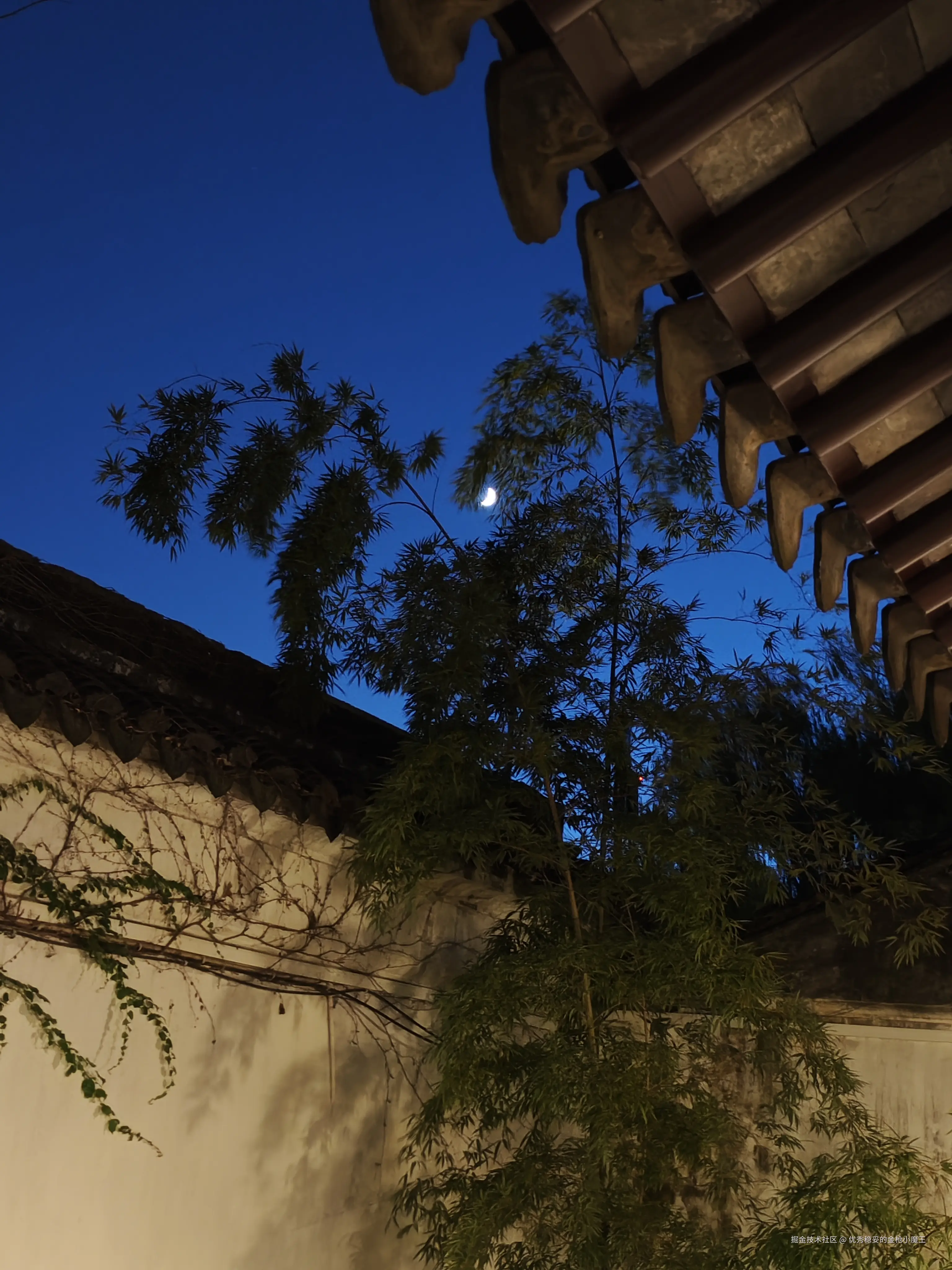 优秀稳妥的金枪小魔王于2025-09-02 14:01发布的图片