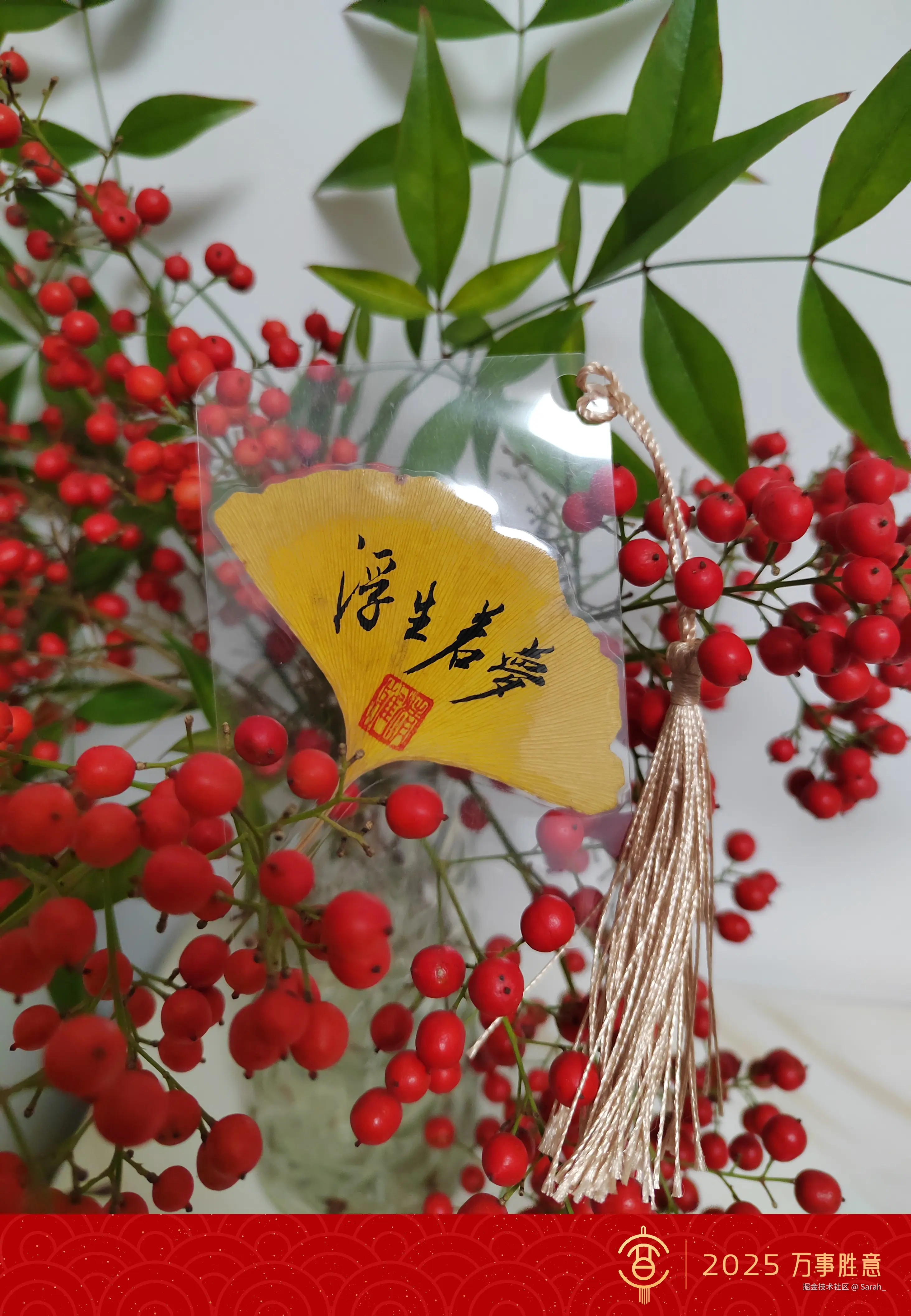 Sarah_于2024-12-31 14:44发布的图片