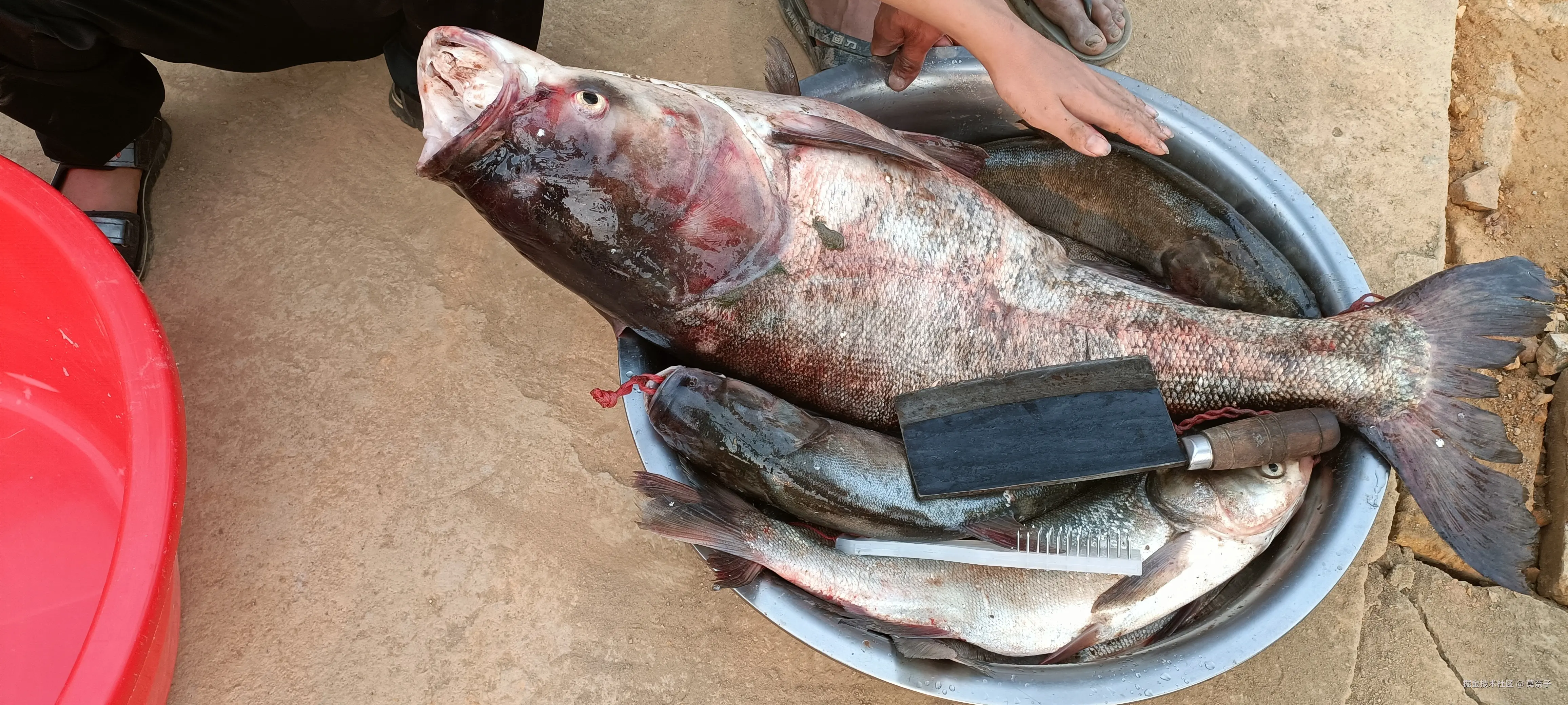 莫奈子于2025-04-10 19:07发布的图片