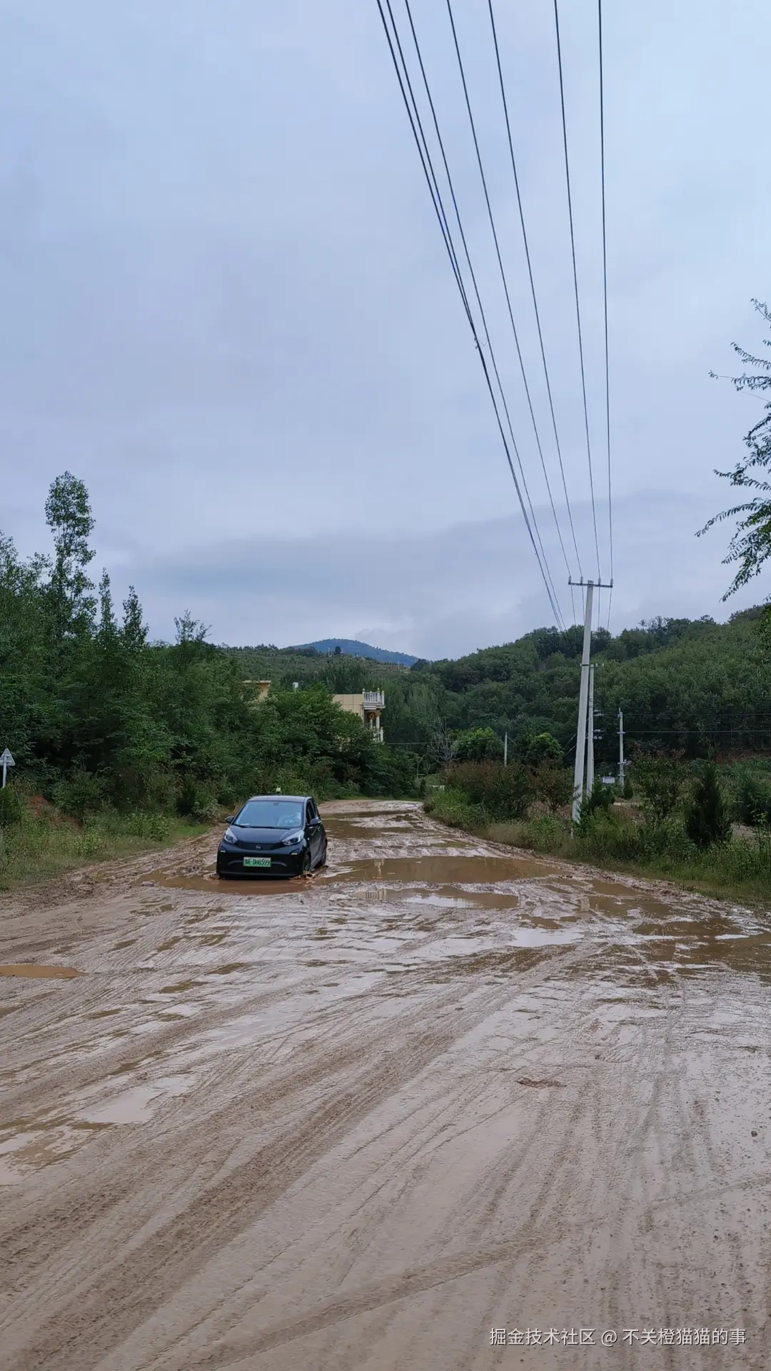 不关橙猫猫的事于2025-10-11 15:29发布的图片