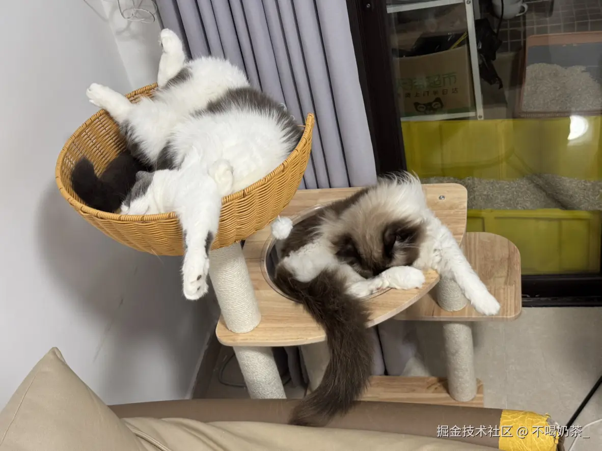 不喝奶茶_于2025-07-14 14:13发布的图片