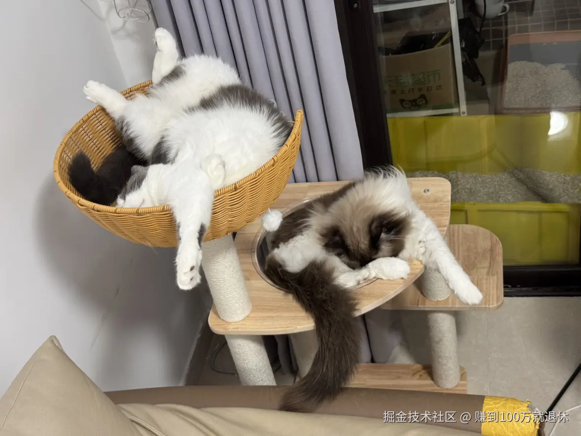 赚到100万就退休于2025-07-14 14:13发布的图片