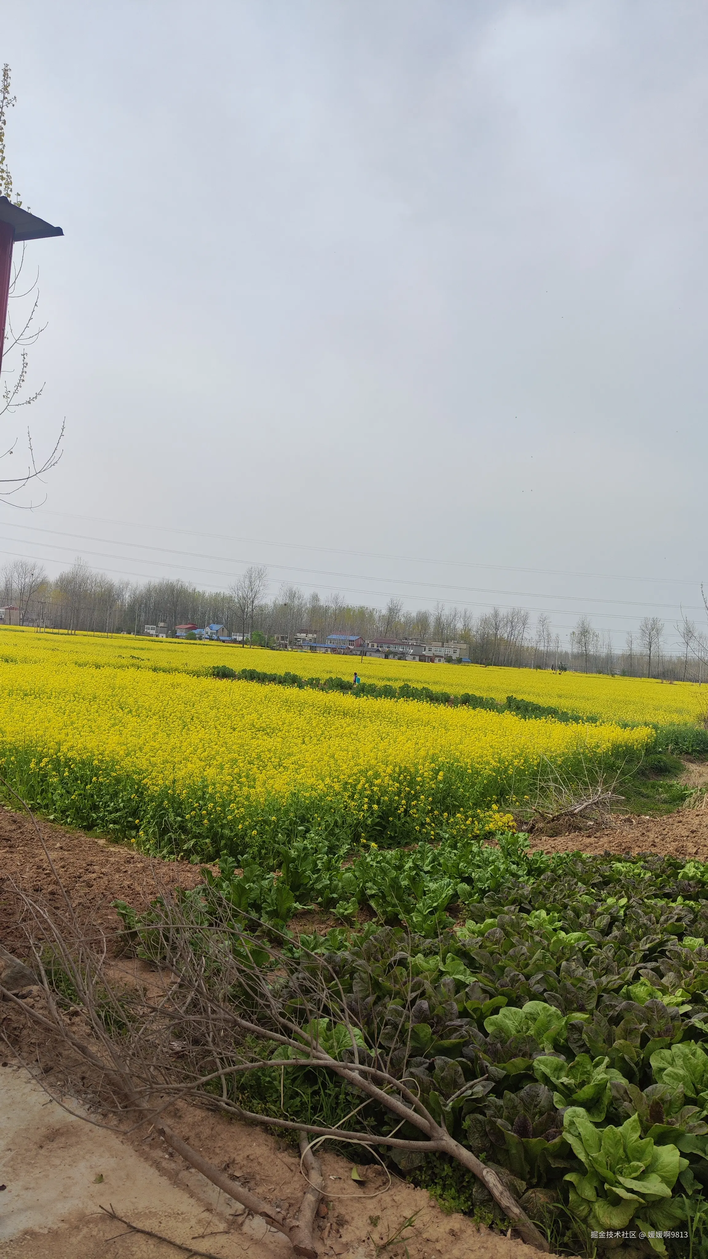 媛媛啊9813于2025-04-01 13:59发布的图片