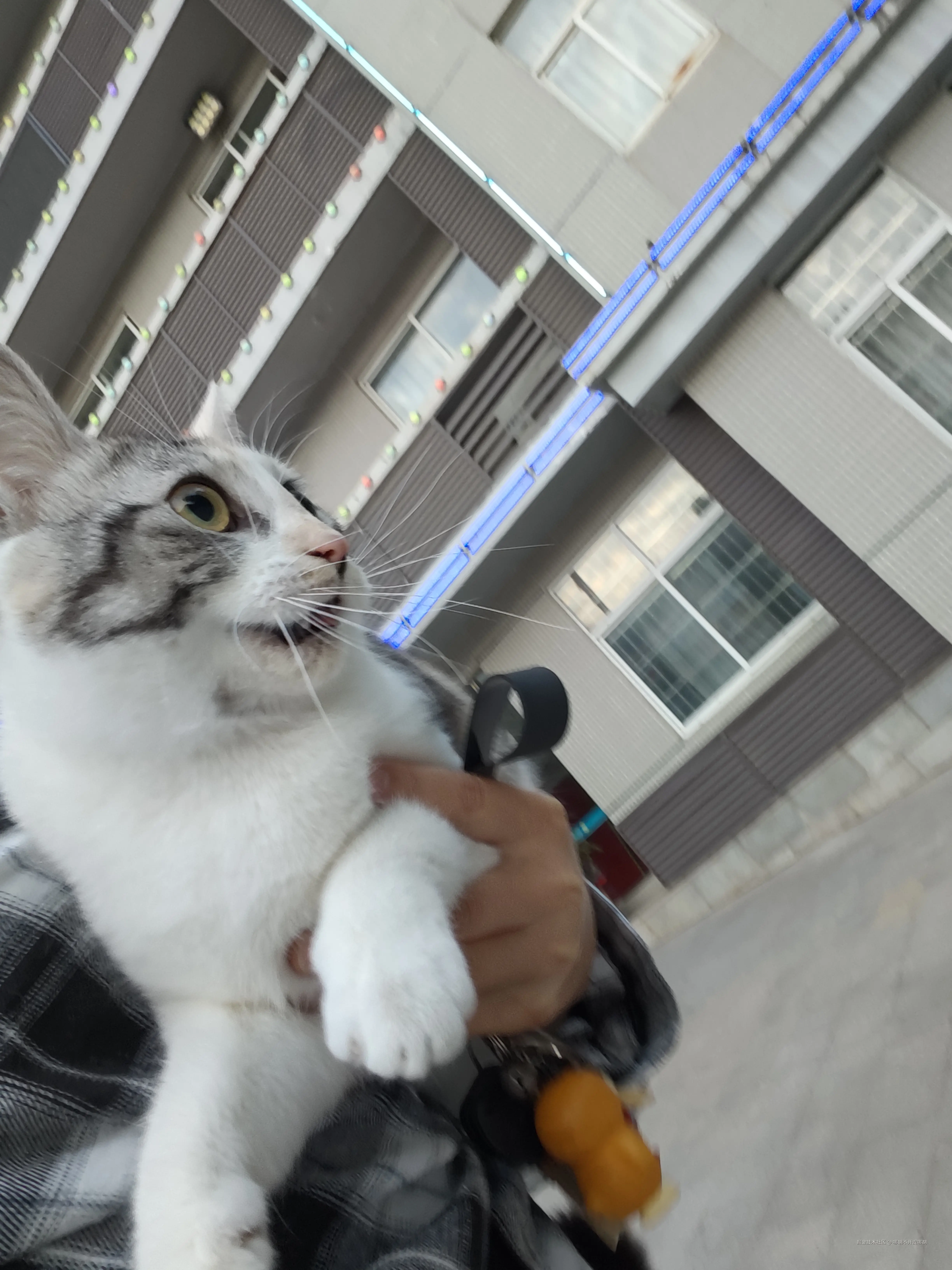 哪胡不开提哪胡于2025-04-29 08:30发布的图片