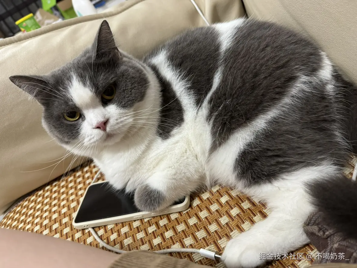 不喝奶茶_于2025-07-14 06:13发布的图片