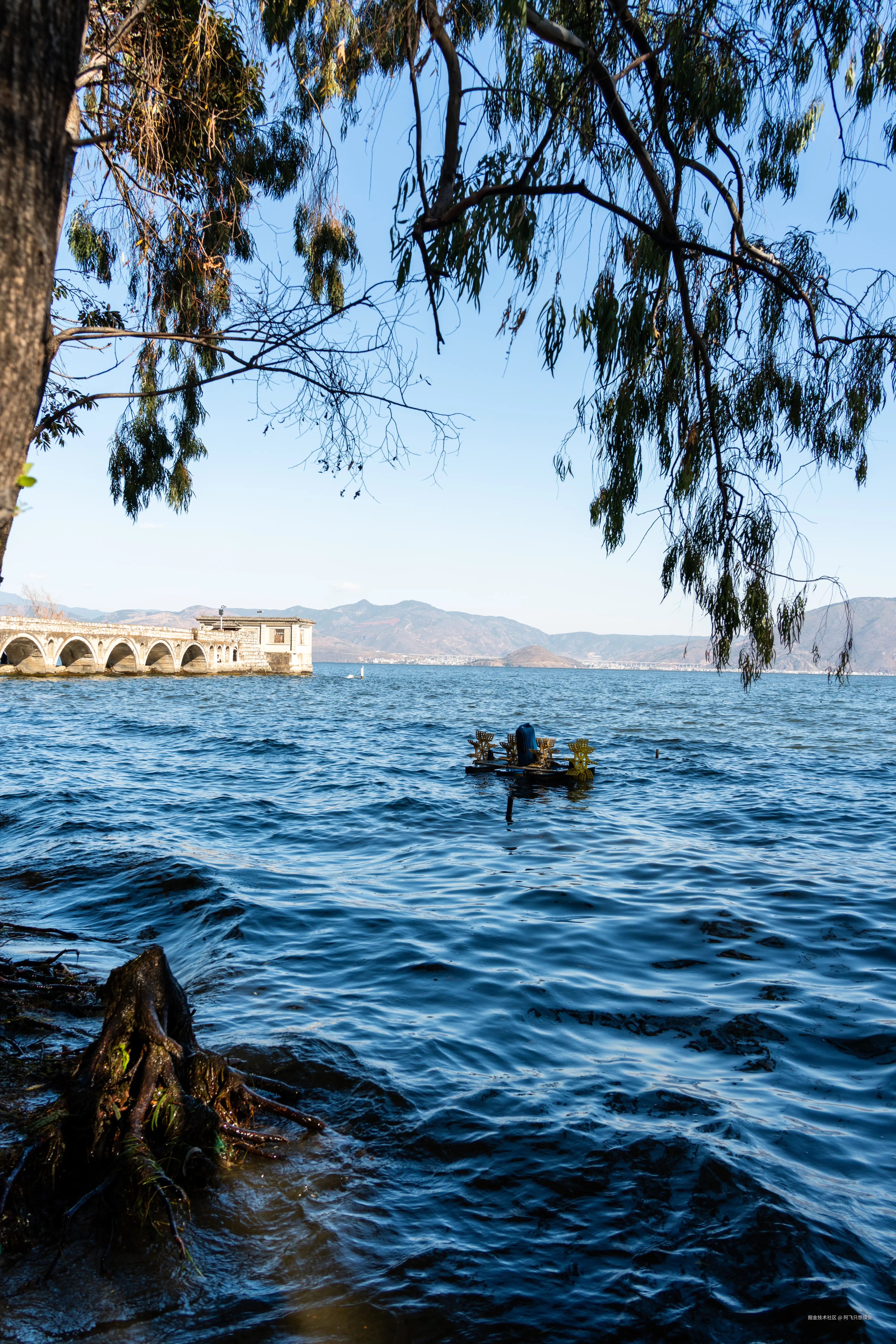 阿飞只想摸鱼于2026-02-11 14:40发布的图片