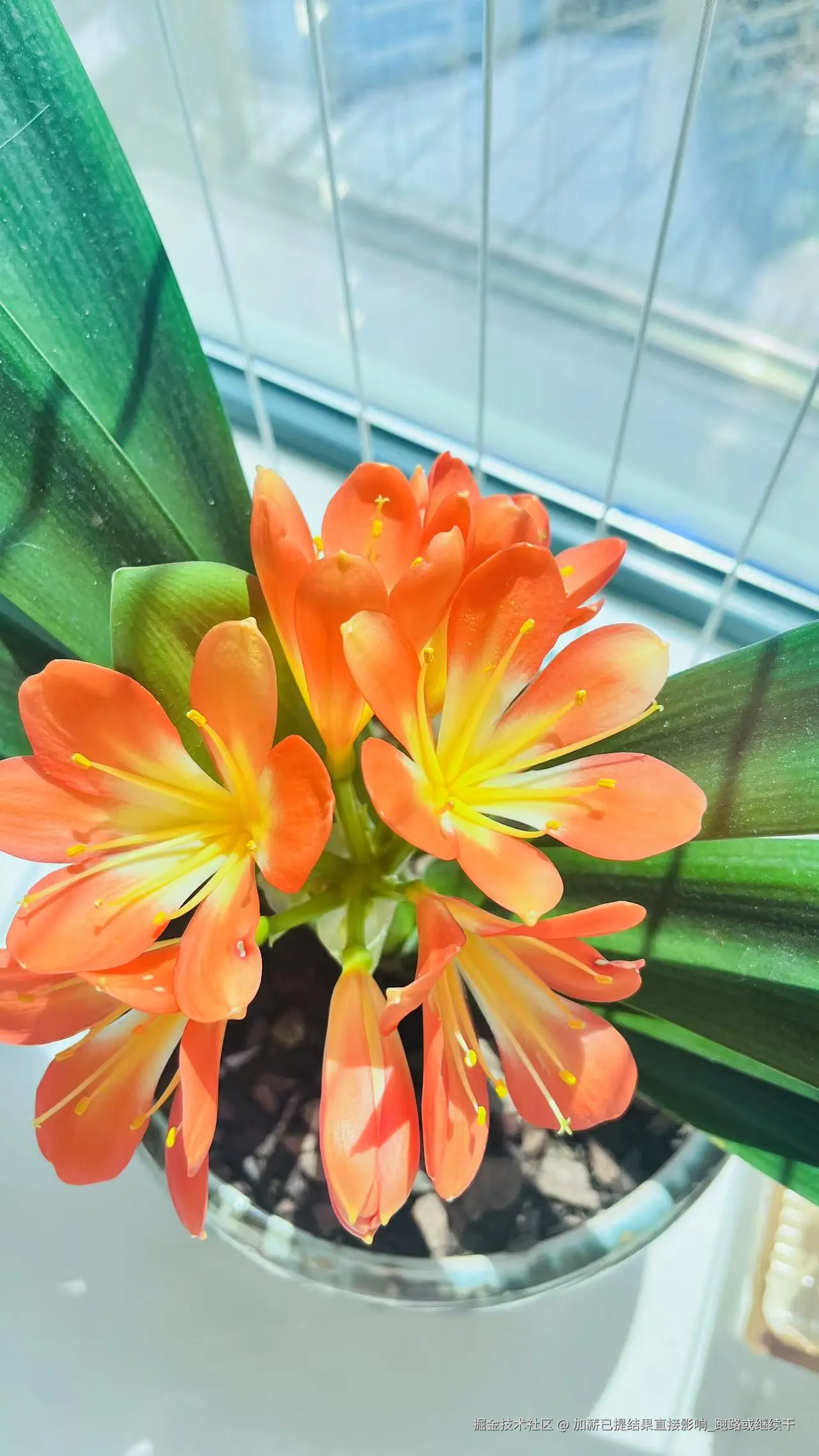 加薪已提结果直接影响_跑路或继续干于2025-02-26 14:14发布的图片