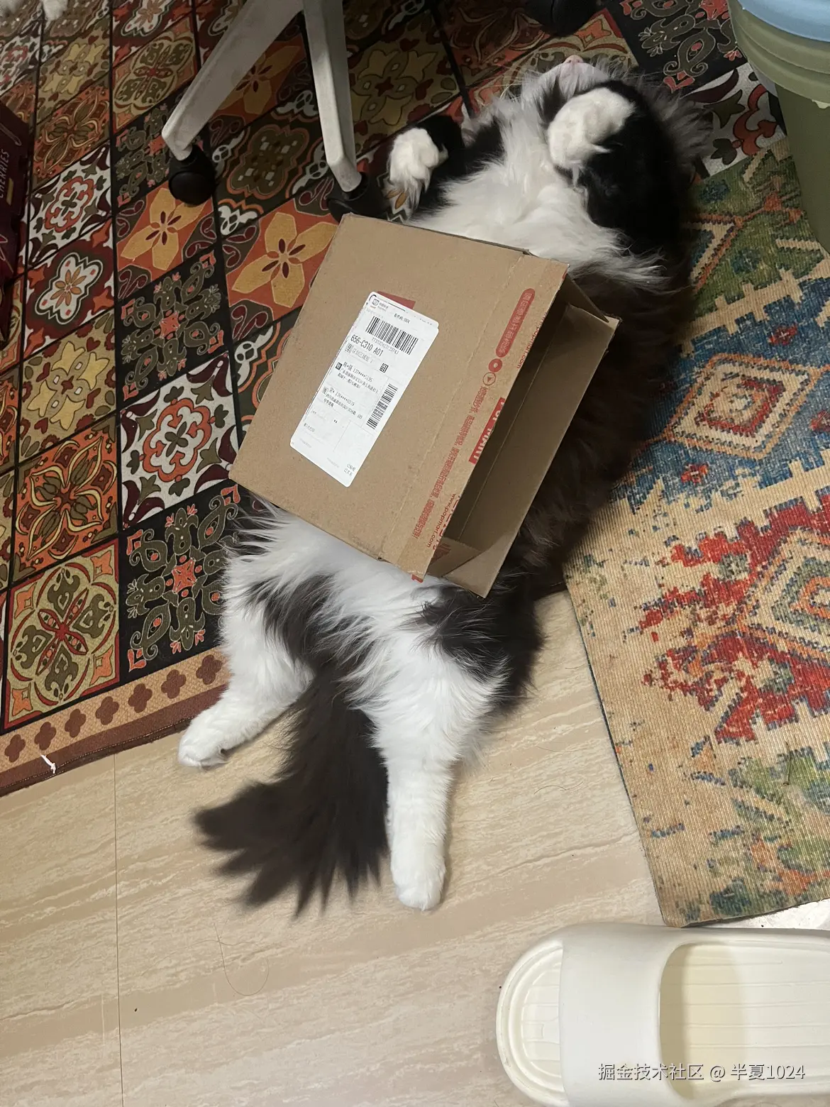 半夏1024于2025-01-08 11:44发布的图片