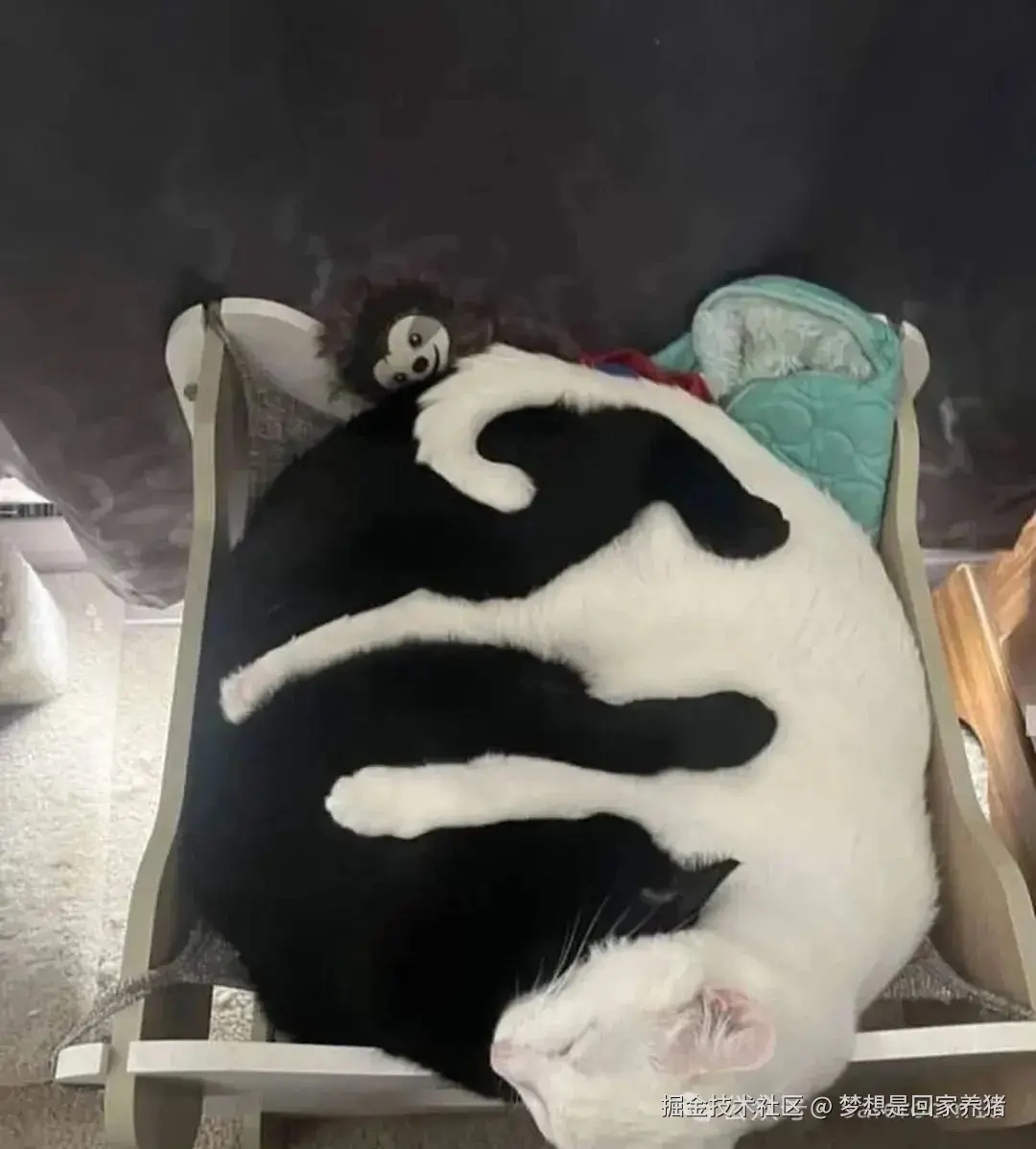 梦想是回家养猪于2025-05-06 10:11发布的图片