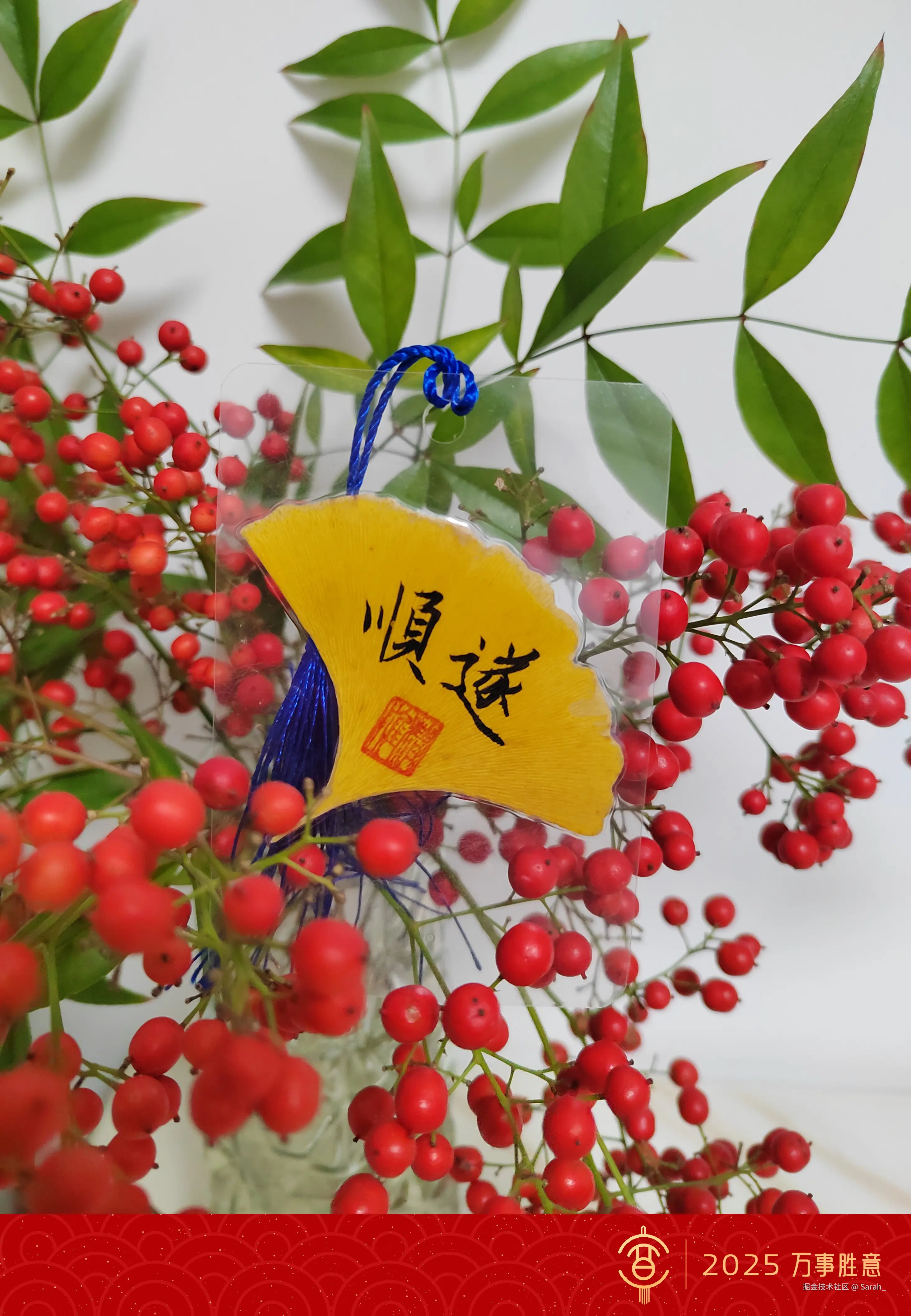 Sarah_于2024-12-31 14:44发布的图片