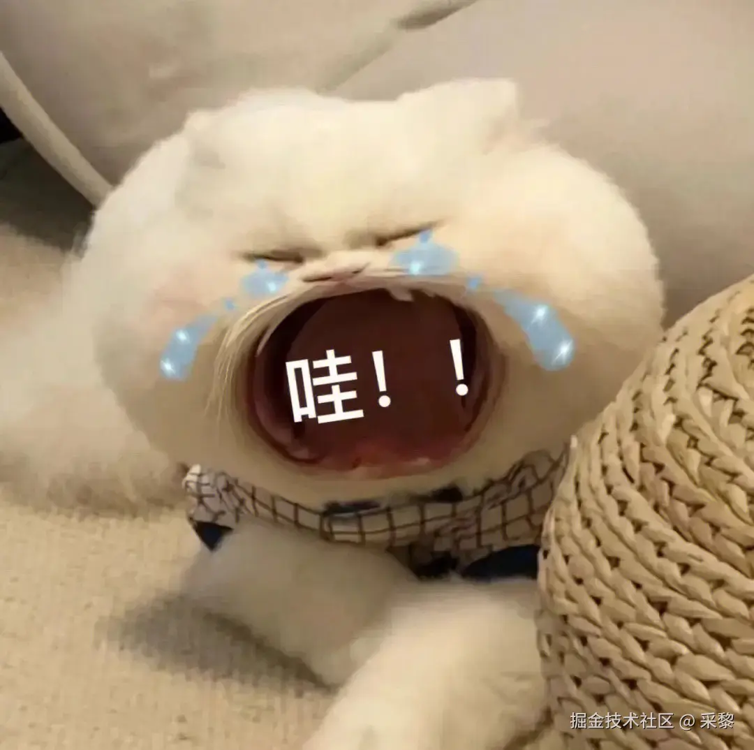 采黎于2025-02-19 17:29发布的图片