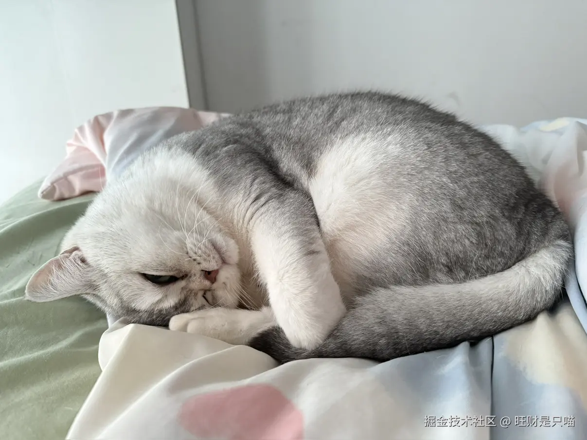 旺财是只喵于2025-12-18 10:10发布的图片