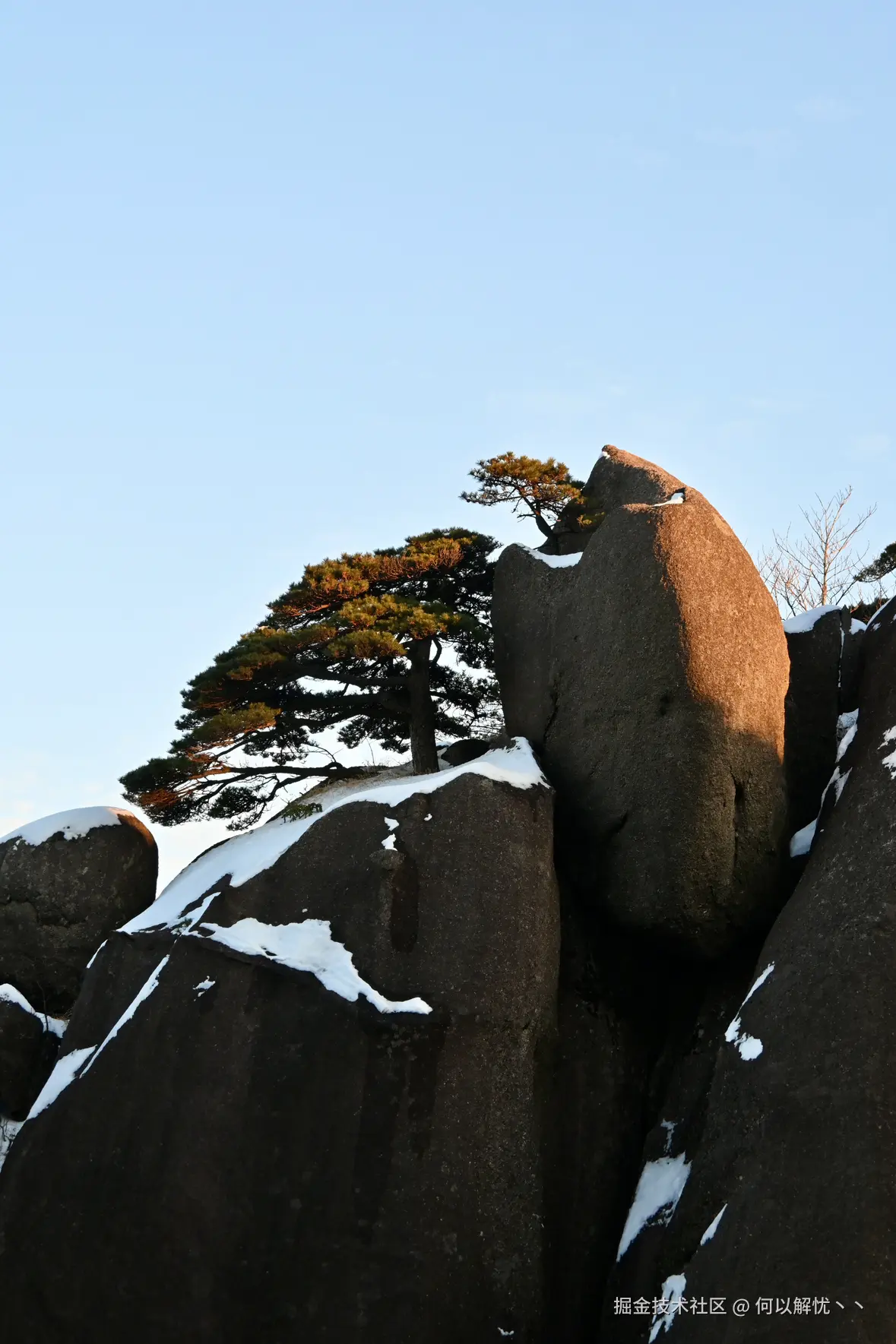 何以解忧丶丶于2026-01-08 09:01发布的图片