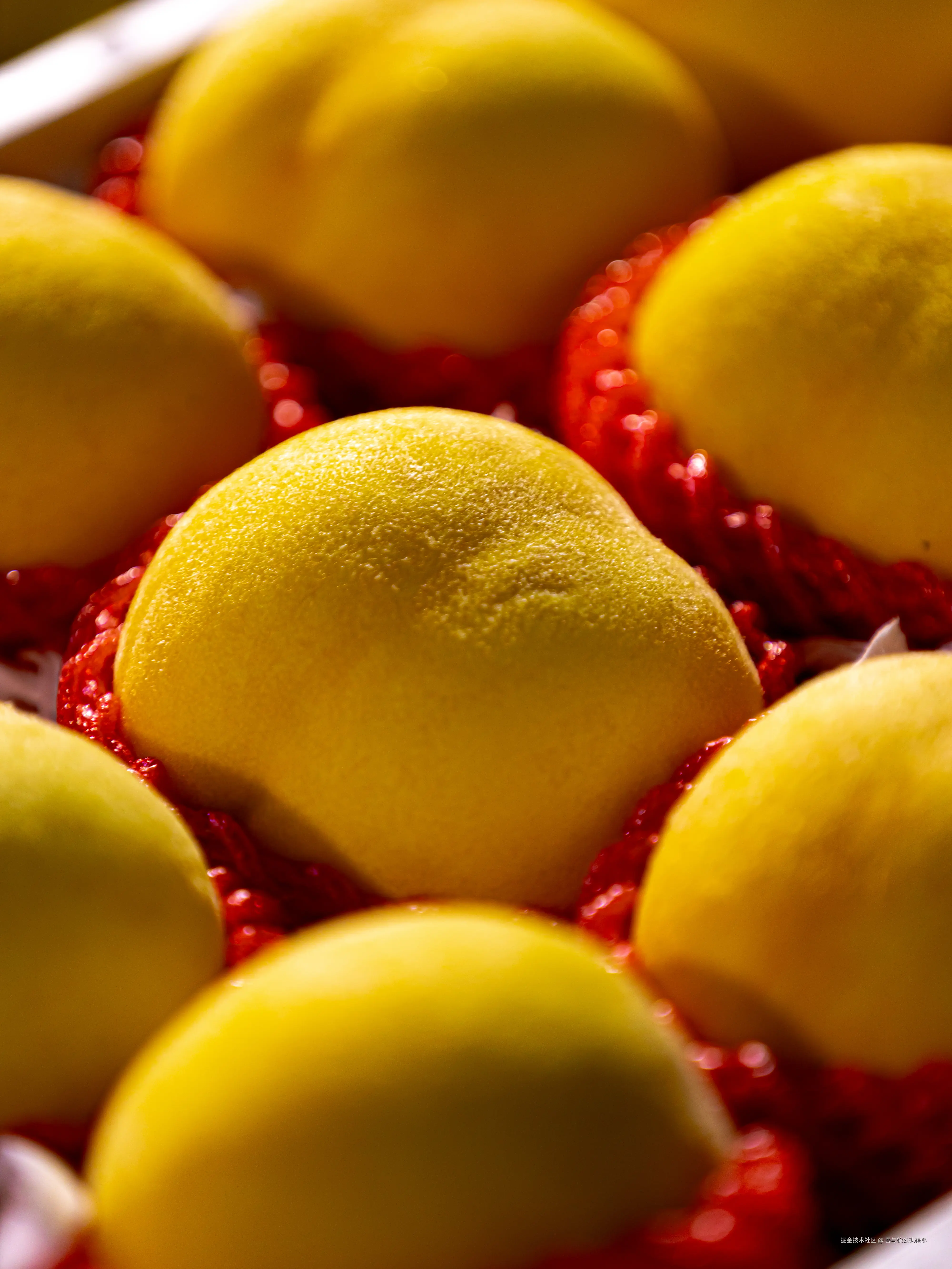 吾与徐公孰美耶于2024-09-14 10:20发布的图片