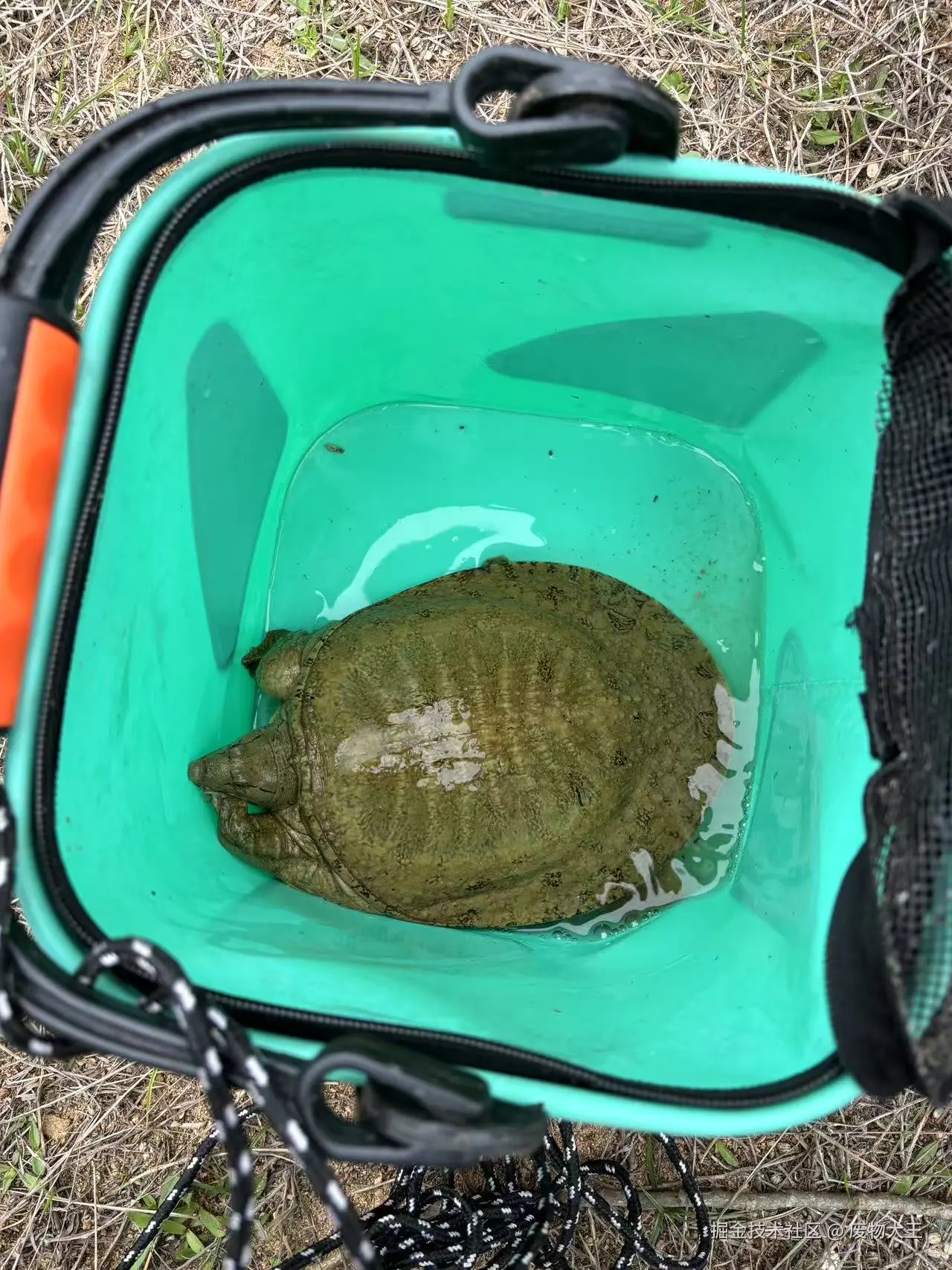 废物大王于2025-04-14 10:21发布的图片