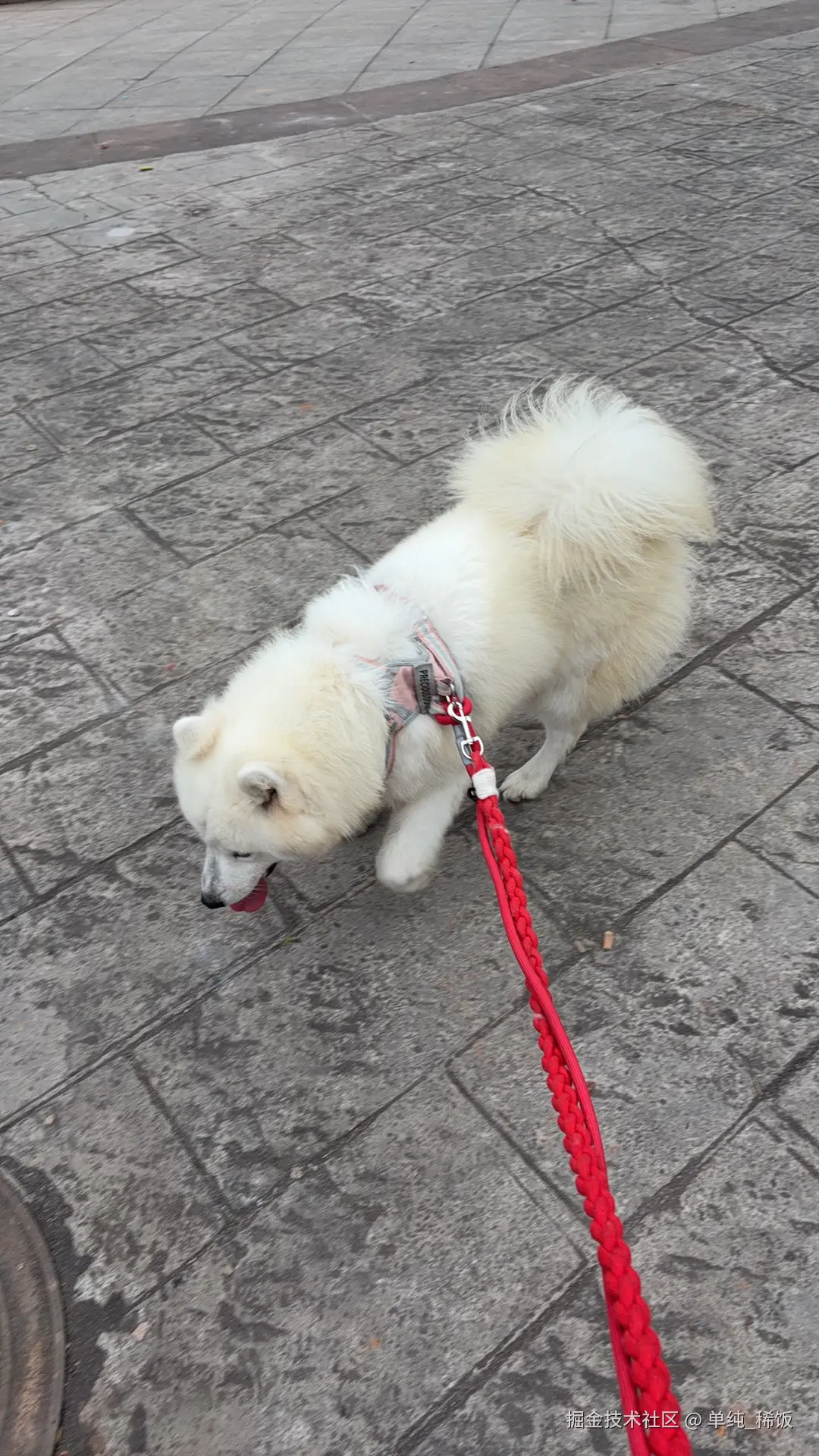 单纯_稀饭于2026-03-02 04:56发布的图片