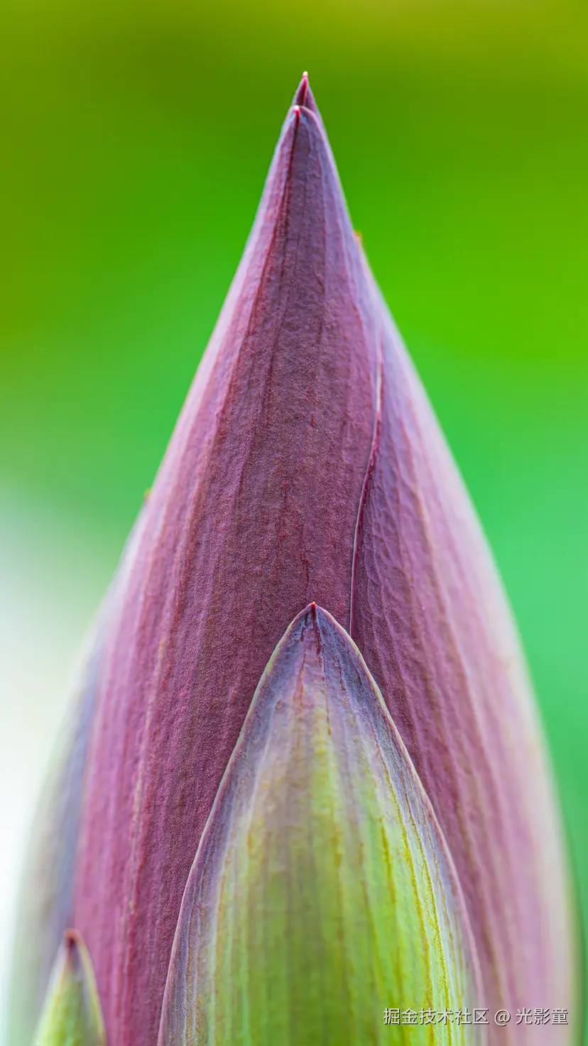 光影童于2025-08-05 08:23发布的图片