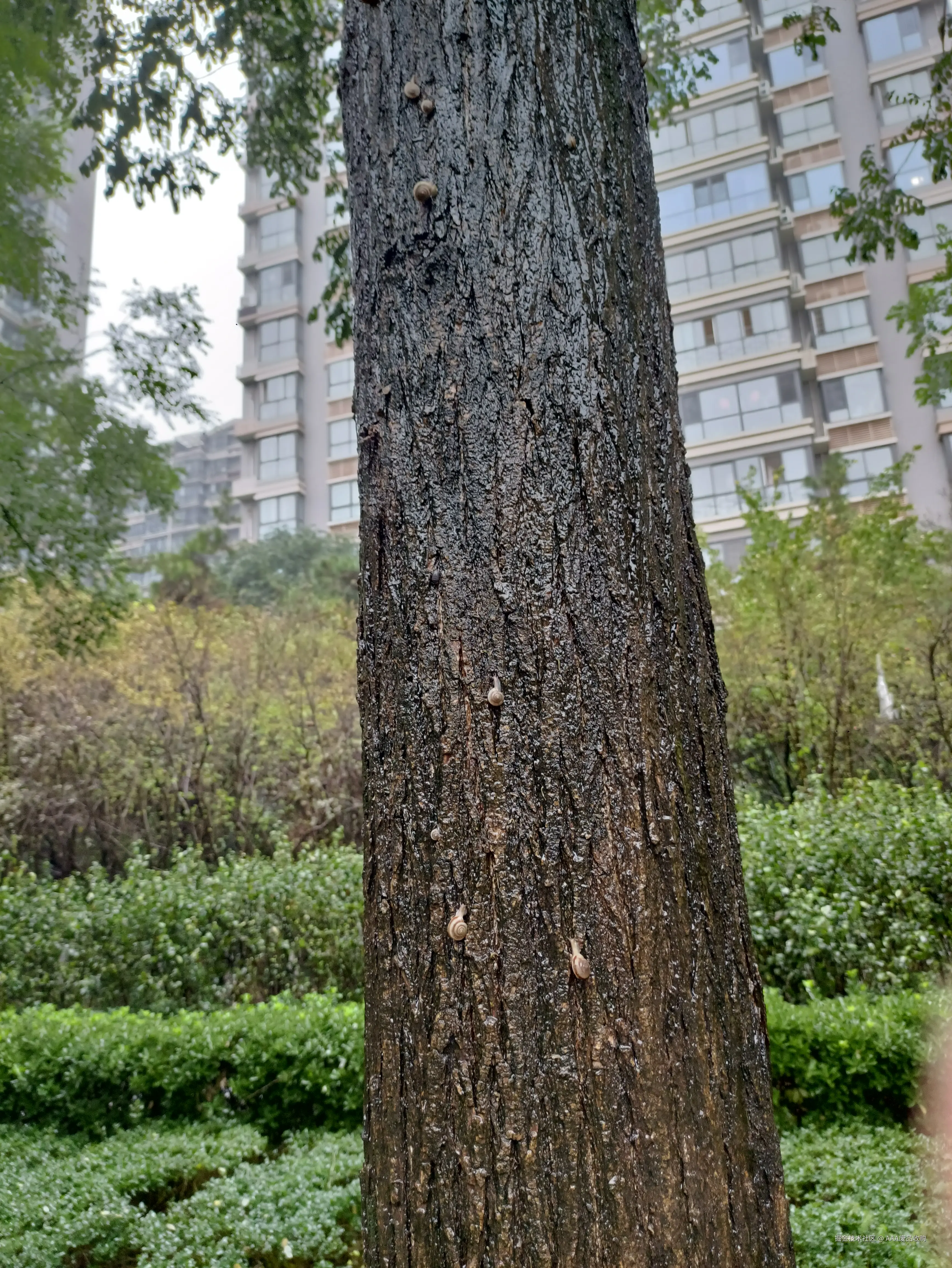 AAA废品收购于2025-09-18 08:42发布的图片