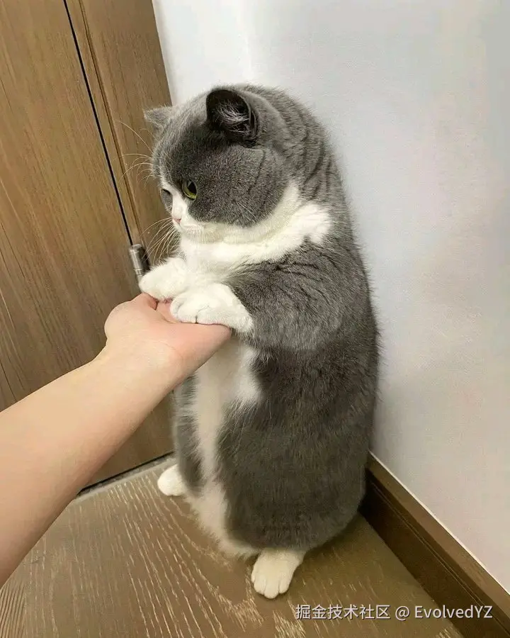 EvolvedYZ于2024-08-11 22:51发布的图片