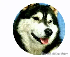 哎呦呵于2025-06-06 14:02发布的图片