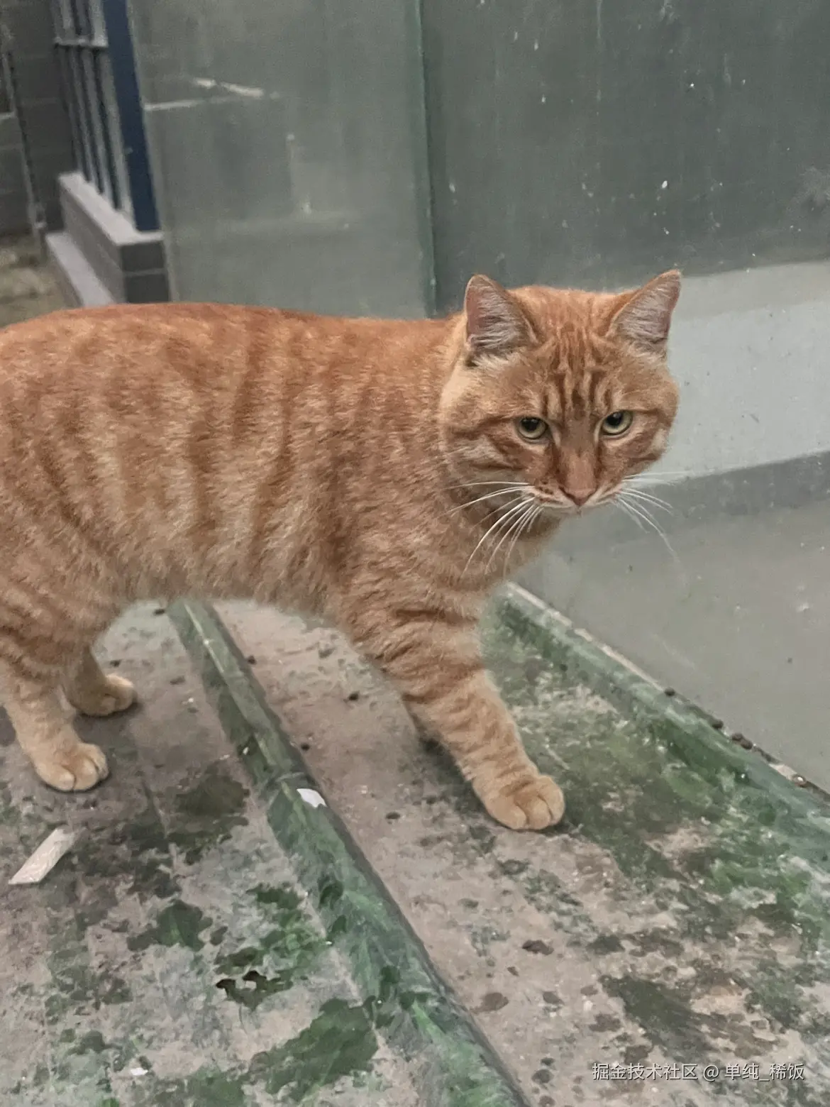 单纯_稀饭于2025-10-28 16:29发布的图片