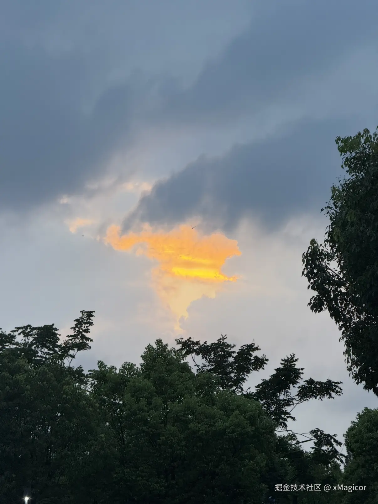 xMagicor于2025-08-04 09:41发布的图片