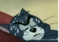 一小只因程序猿于2025-12-13 10:54发布的图片