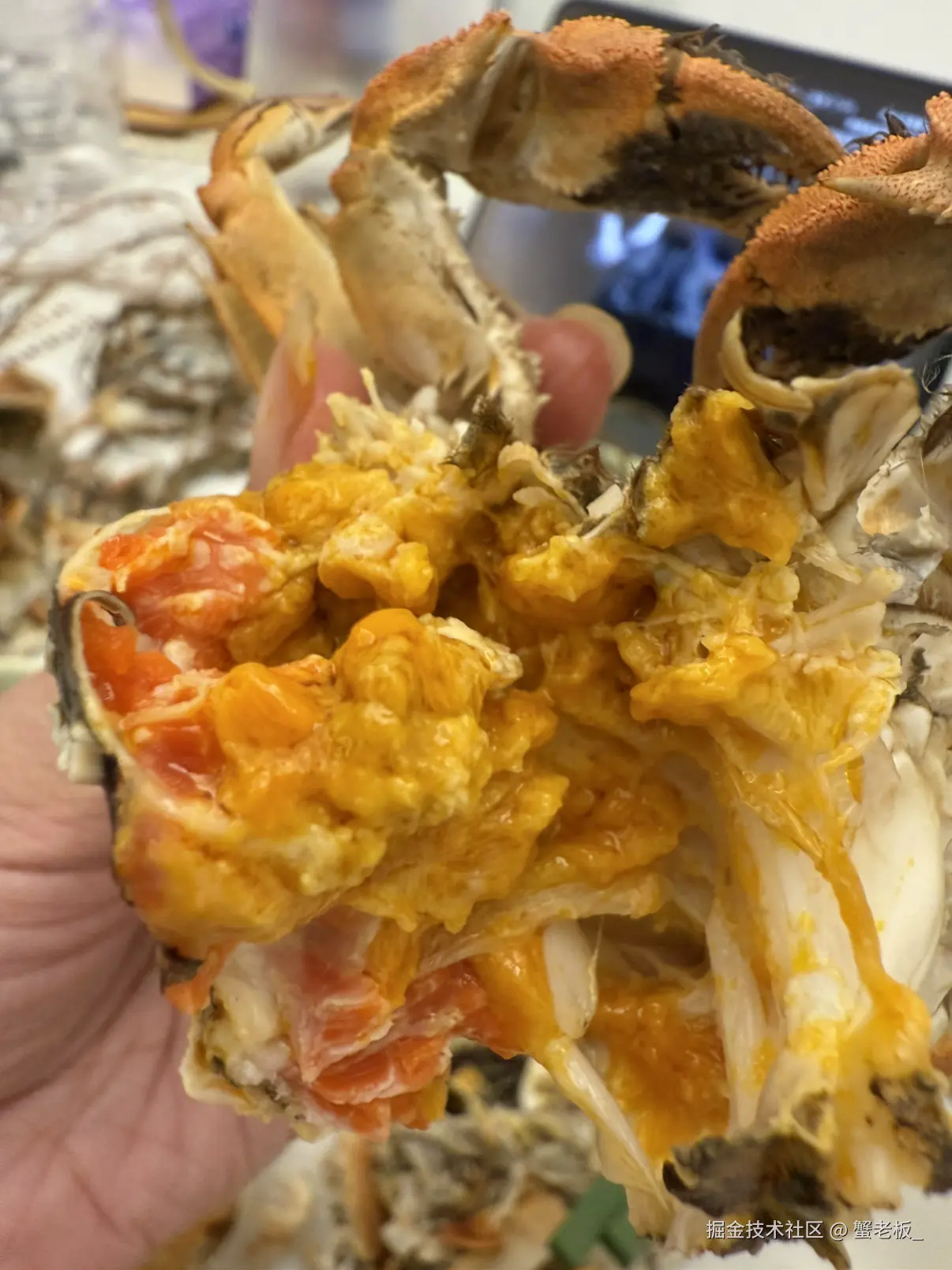 蟹老板_于2025-10-27 08:46发布的图片