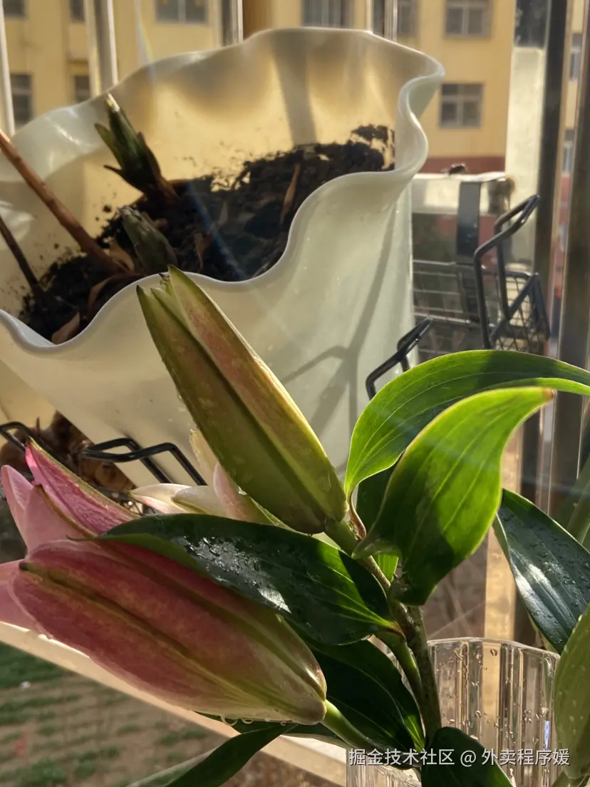 外卖程序媛于2026-02-12 16:00发布的图片