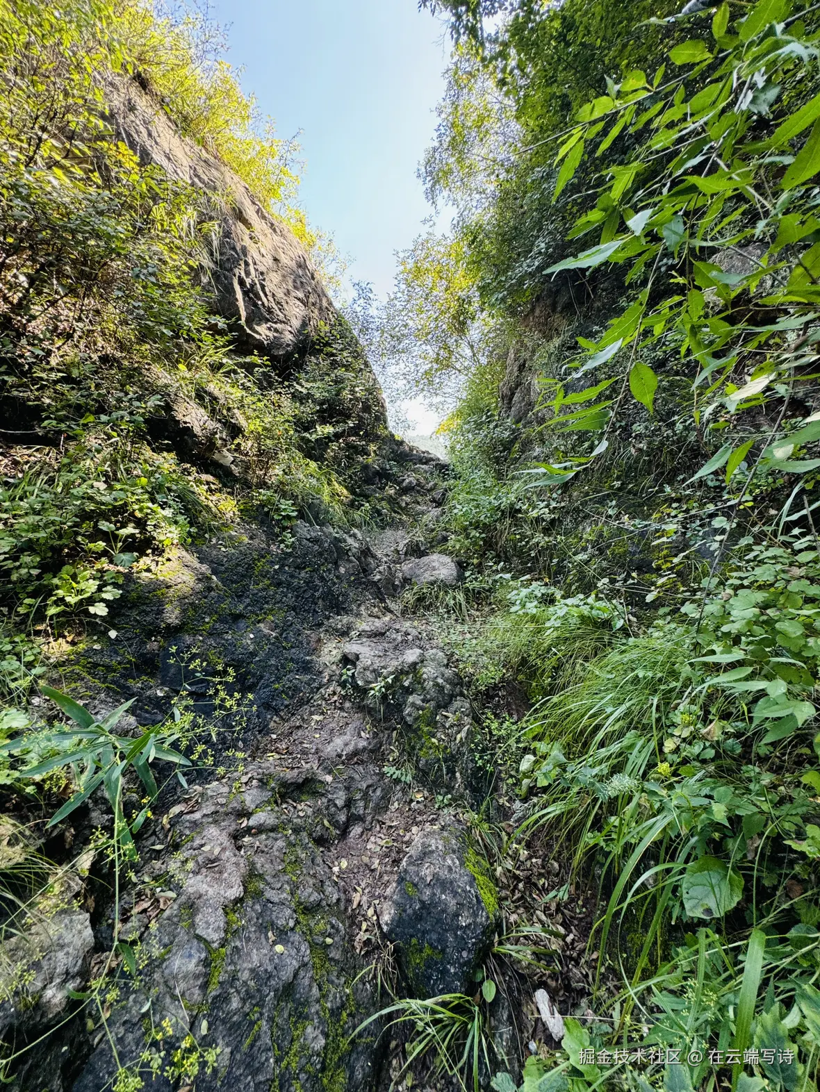 在云端写诗于2025-09-01 07:40发布的图片