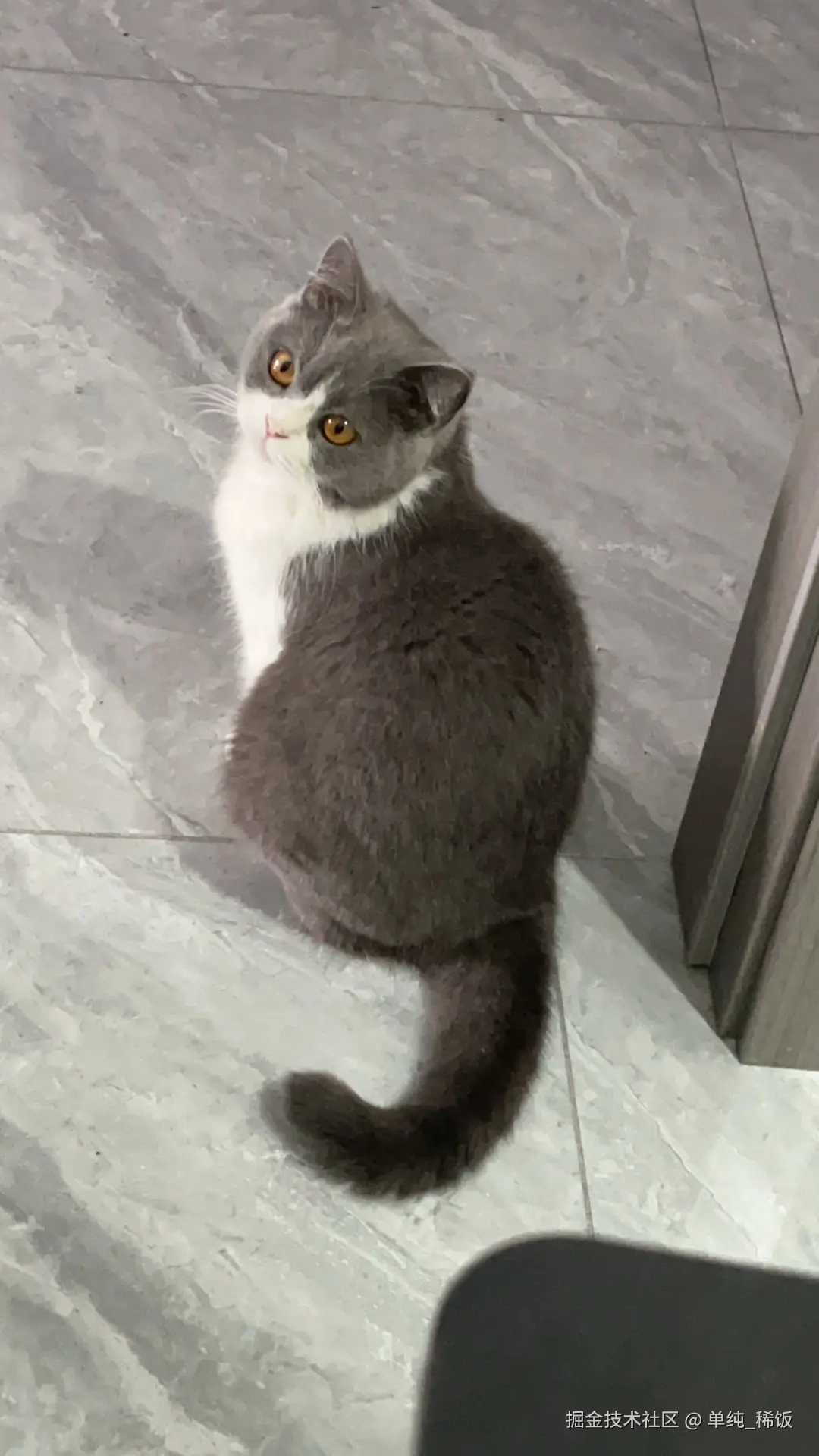 单纯_稀饭于2024-12-06 08:07发布的图片