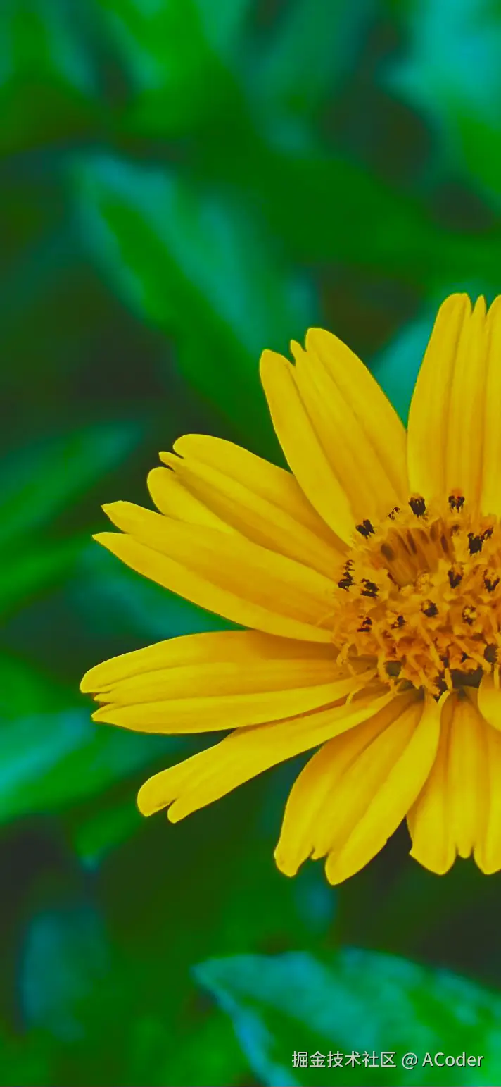 ACoder于2025-06-03 10:17发布的图片