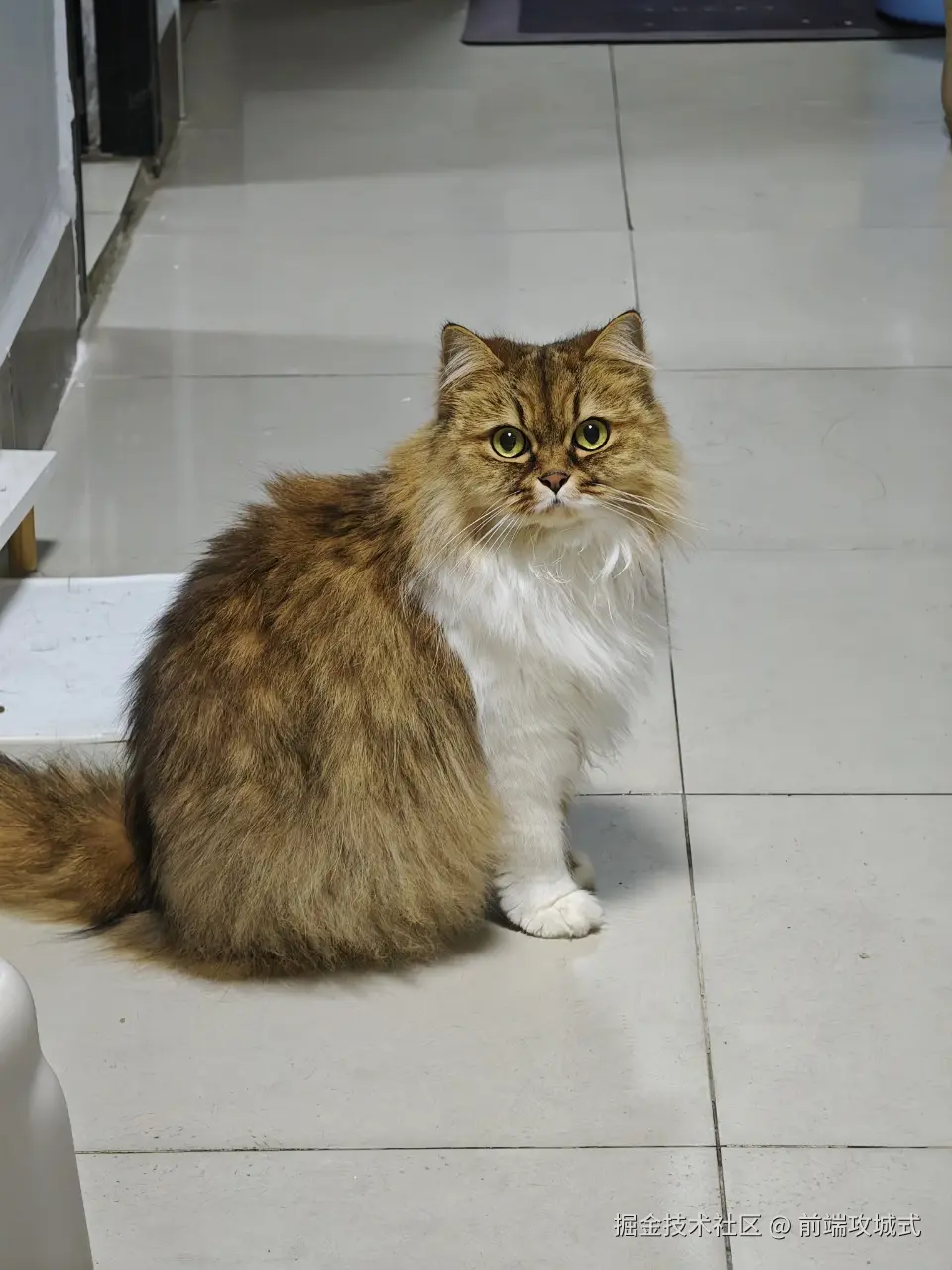 前端攻城式于2026-03-19 10:53发布的图片