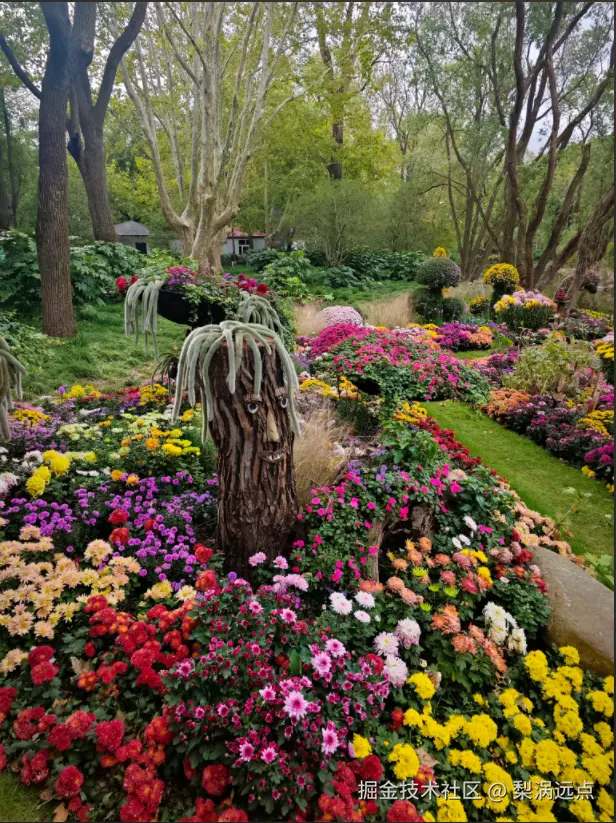 梨涡远点于2024-11-11 09:26发布的图片