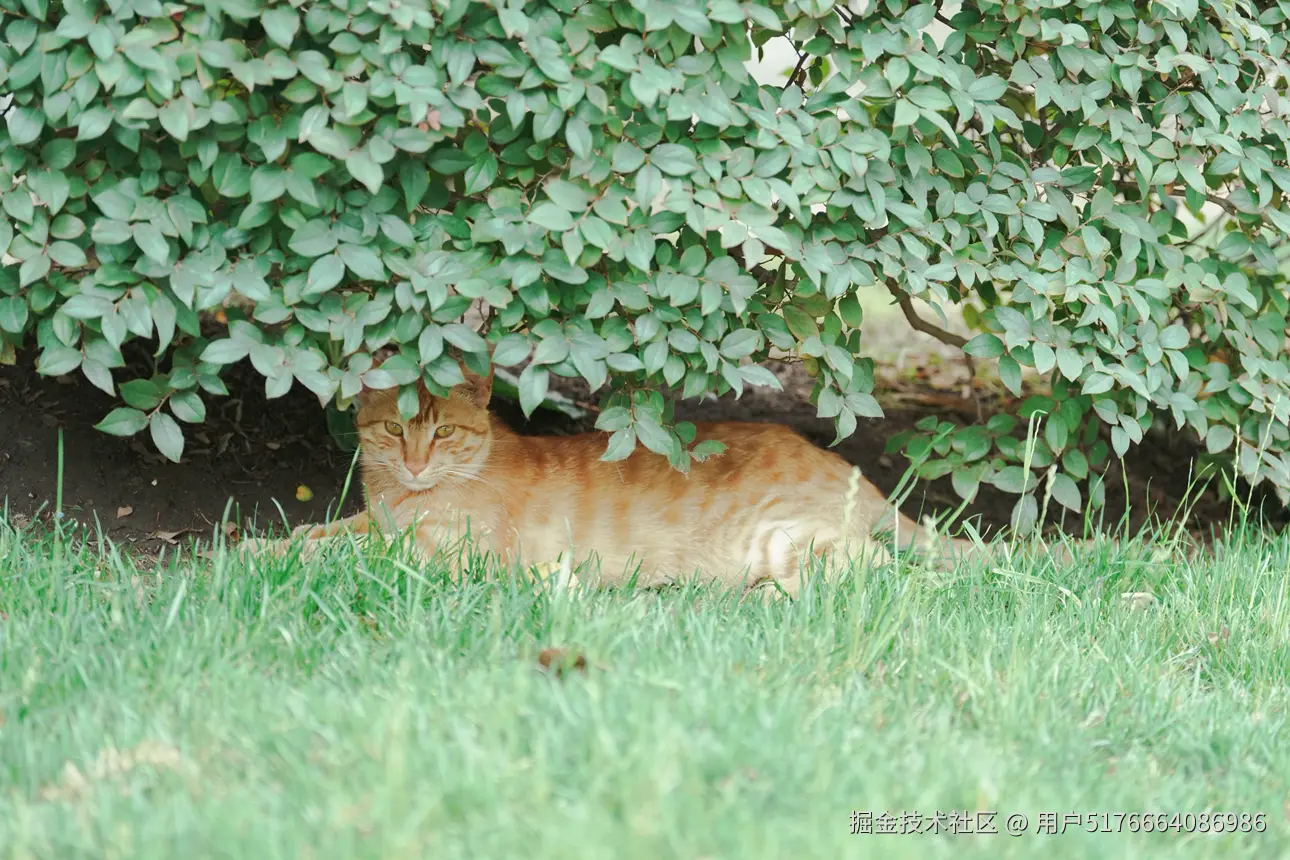 用户5176664086986于2025-05-26 15:20发布的图片