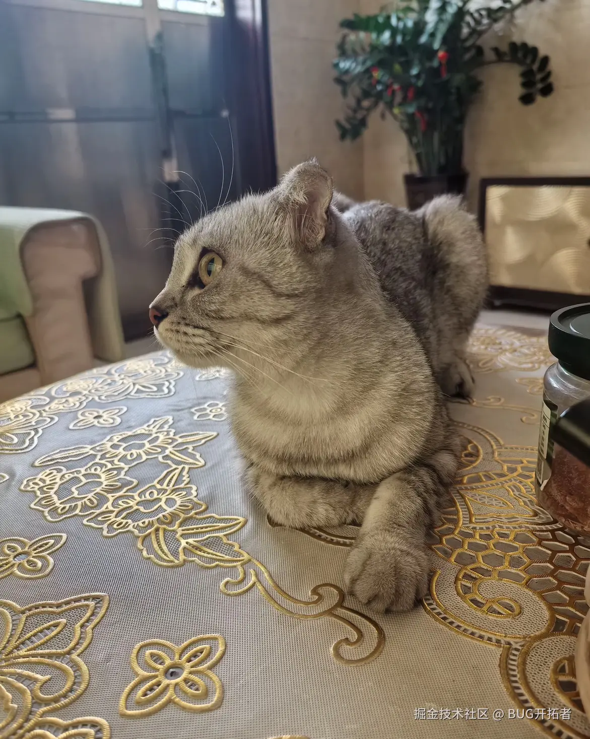 BUG开拓者于2025-09-13 12:38发布的图片