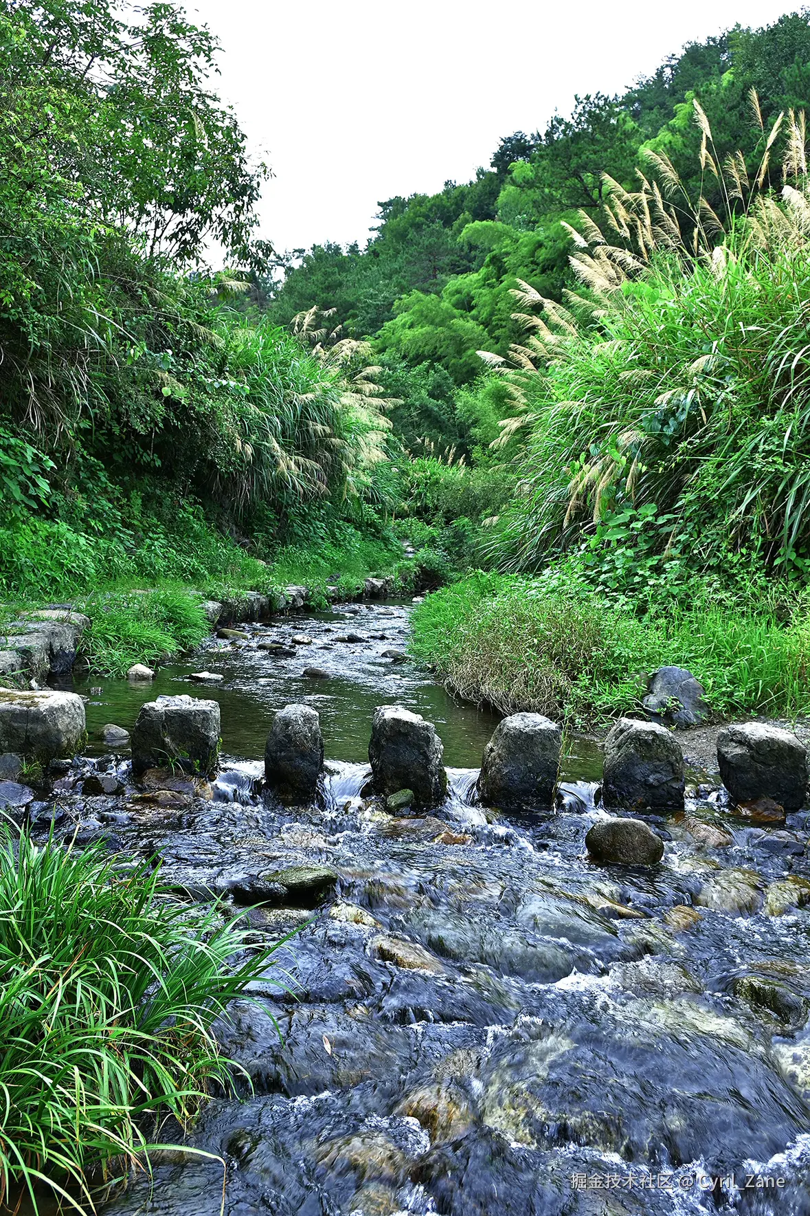 Cyril_Zane于2025-08-11 11:12发布的图片