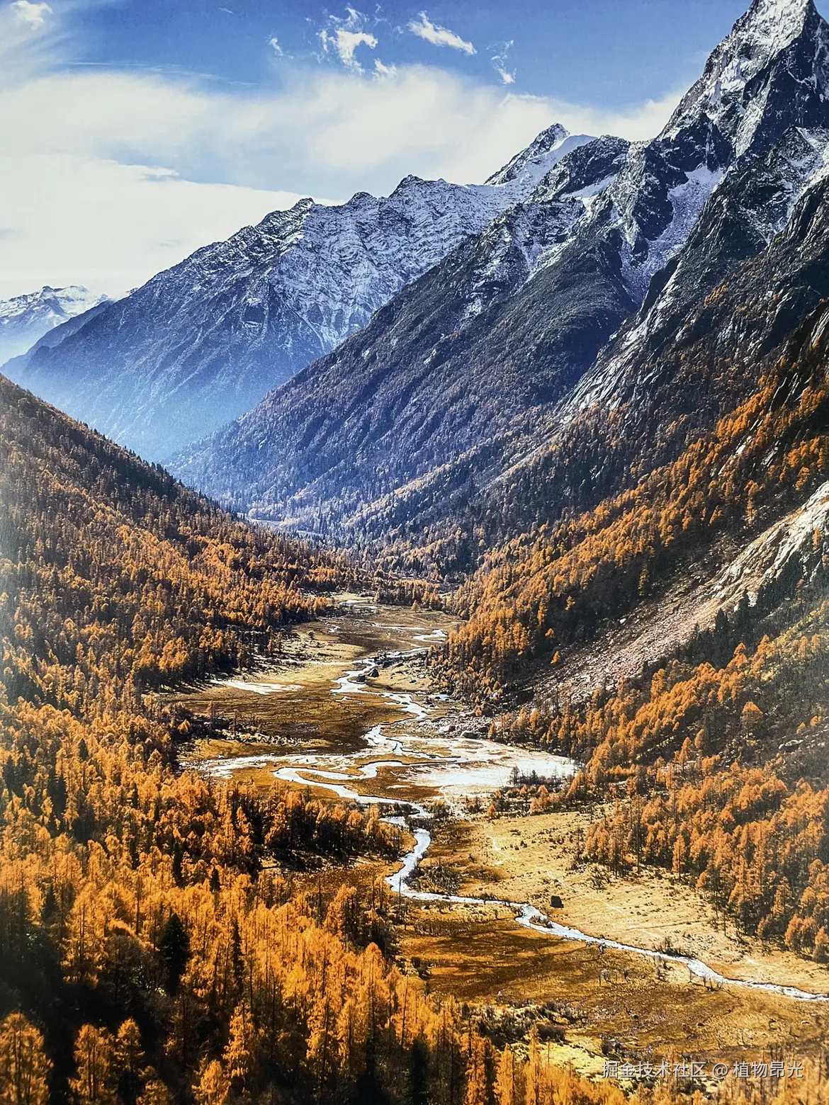 植物昂光于2026-03-14 12:18发布的图片