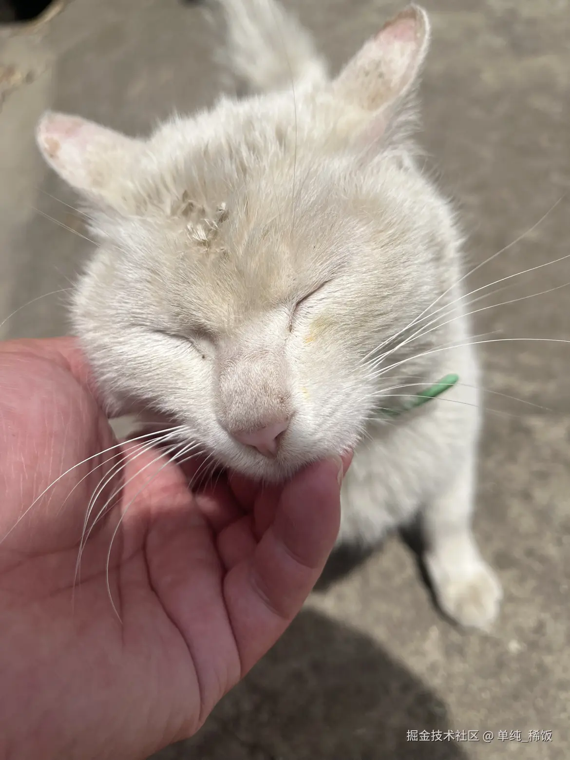 单纯_稀饭于2025-04-25 12:03发布的图片