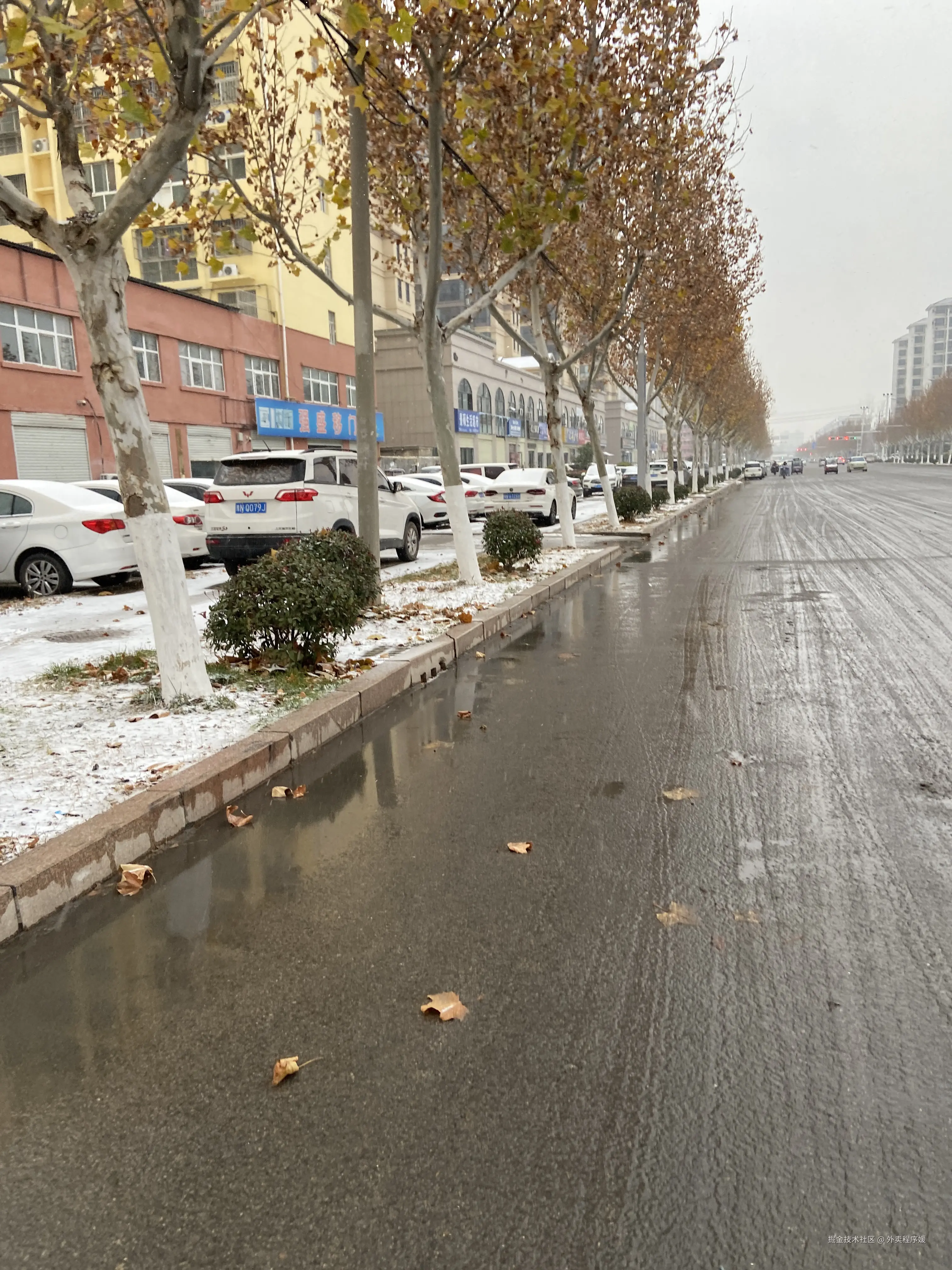 外卖程序媛于2025-12-12 15:52发布的图片