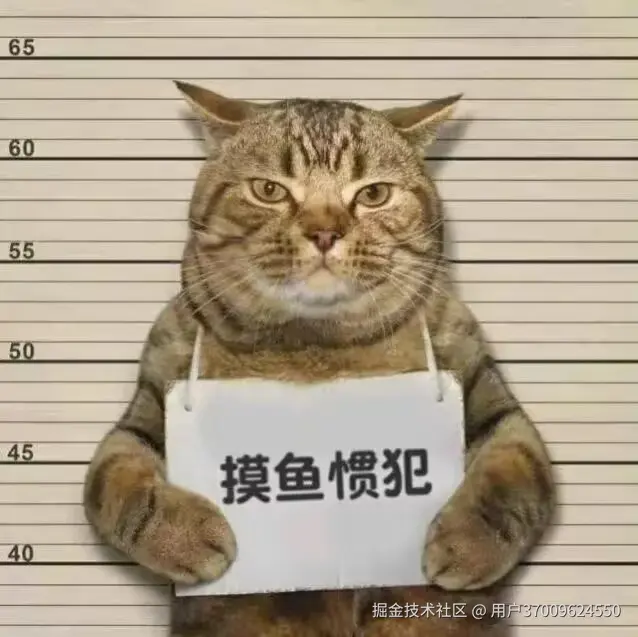 用户37009624550于2025-07-17 06:29发布的图片